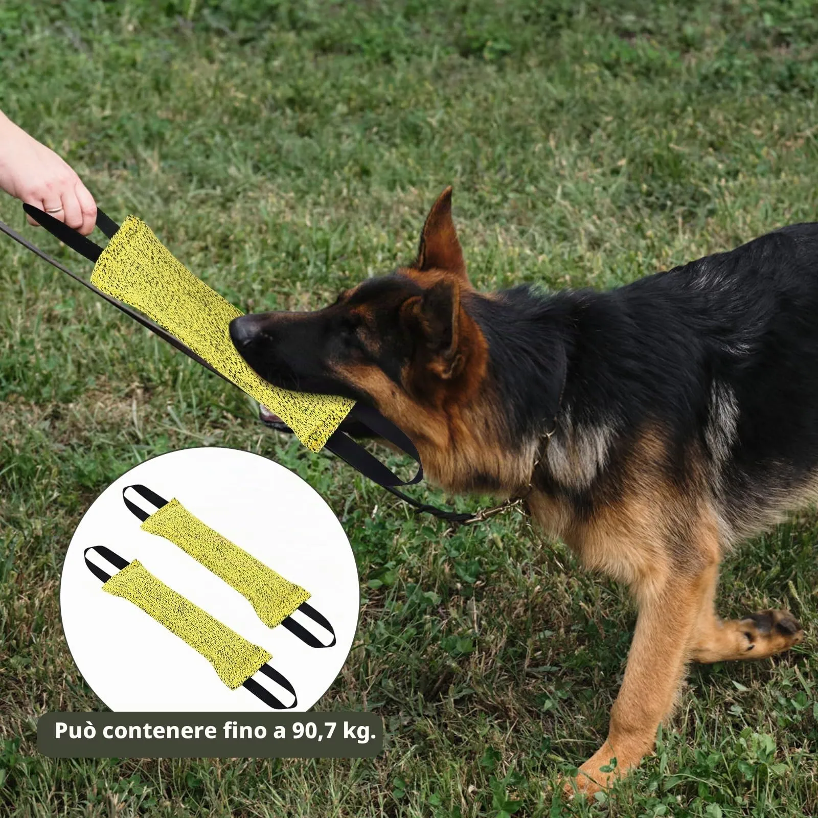 Ziyonix Manicotto per Cani 30cm con 2 Maniglie, Set da 2 Pezzi - immagine 6