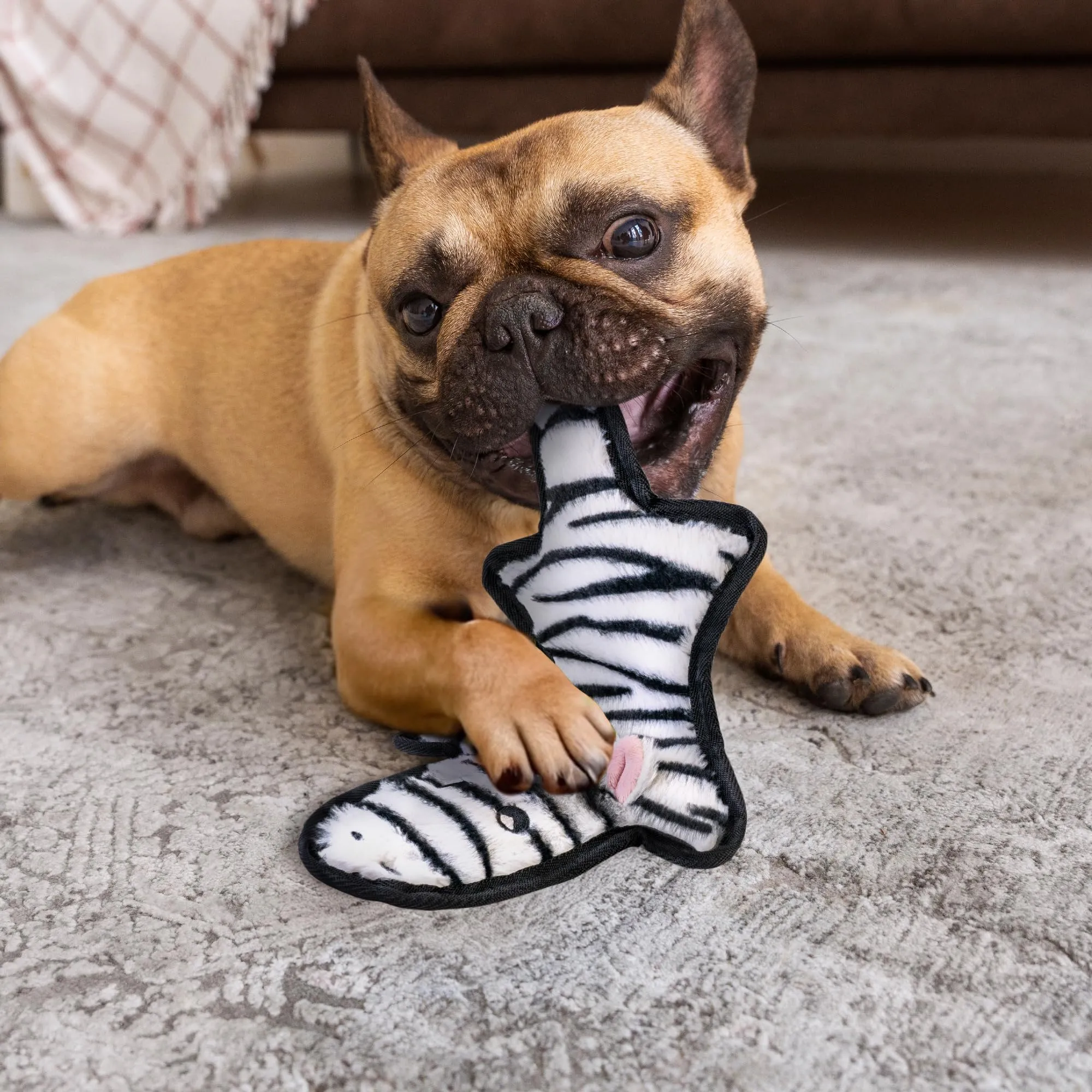 SHARLOVY Giocattoli per cani senza imbottitura, masticabili e resistenti con cigolio, Large - immagine 5