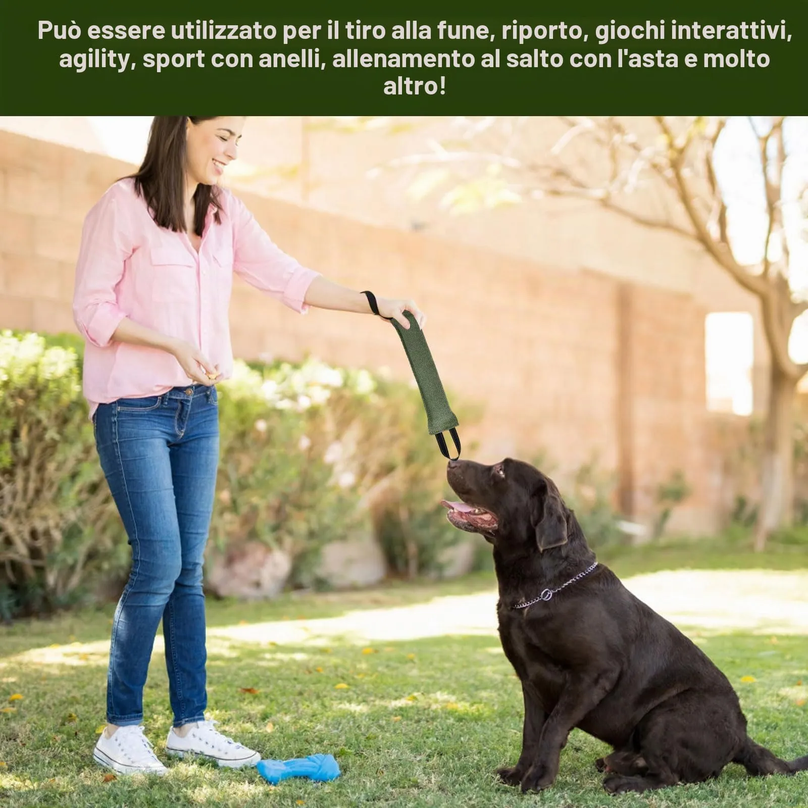 Ziyonix Manicotto per Cani 30cm con 2 Maniglie, Set da 2 Pezzi - immagine 4