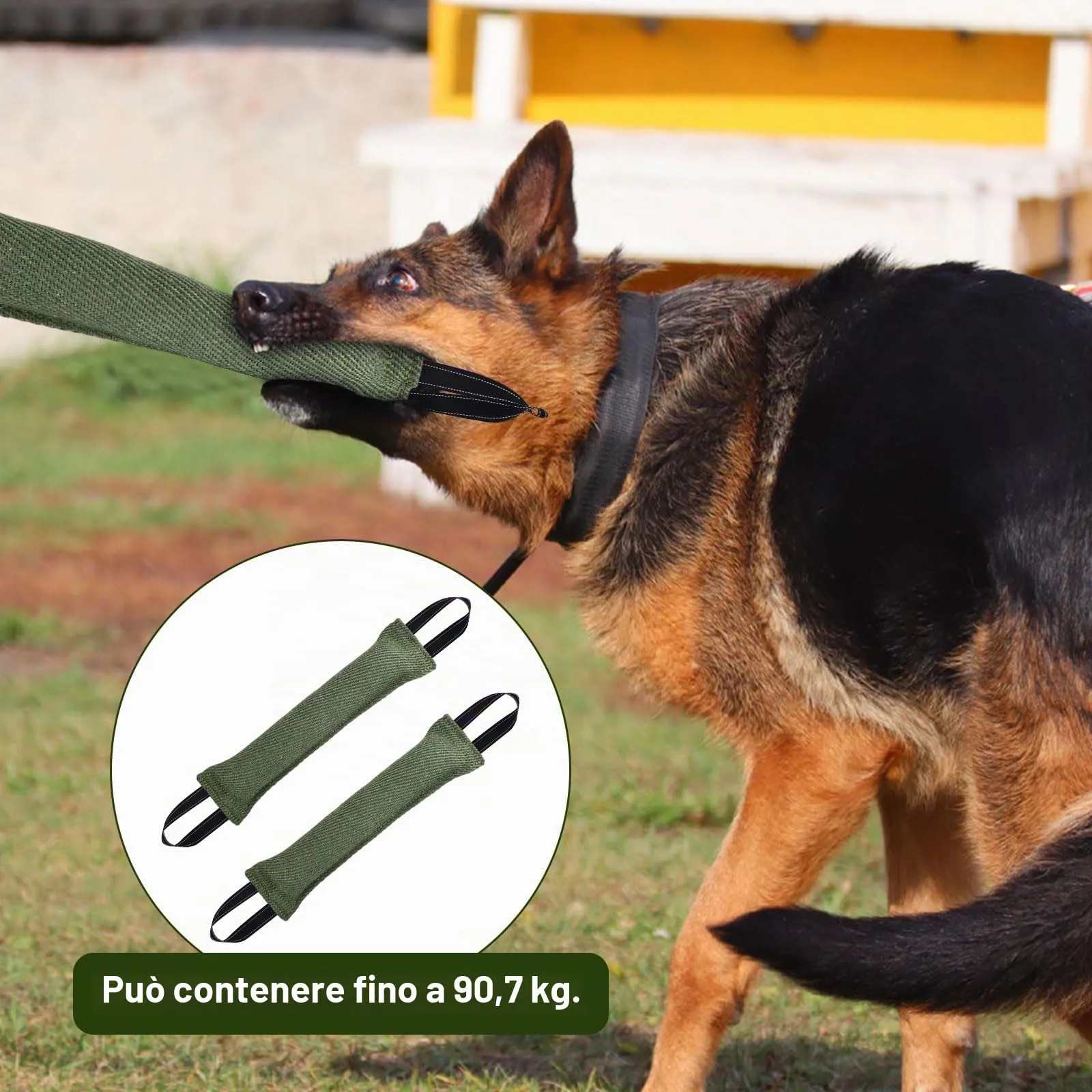 Ziyonix Manicotto per Cani 30cm con 2 Maniglie, Set da 2 Pezzi - immagine 5
