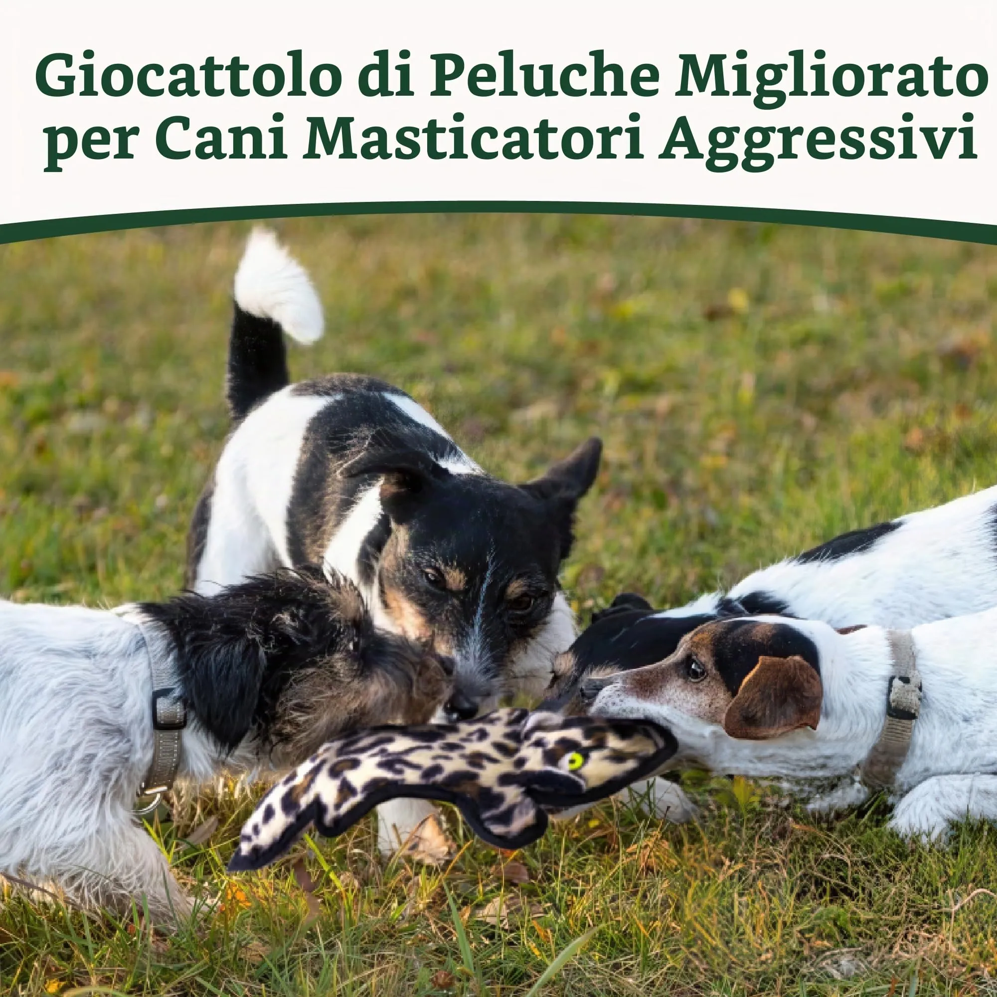 SHARLOVY Giocattoli di peluche per cani senza imbottitura, resistenti e cigolanti per masticatori aggressivi e cuccioli in dentizione - immagine 2