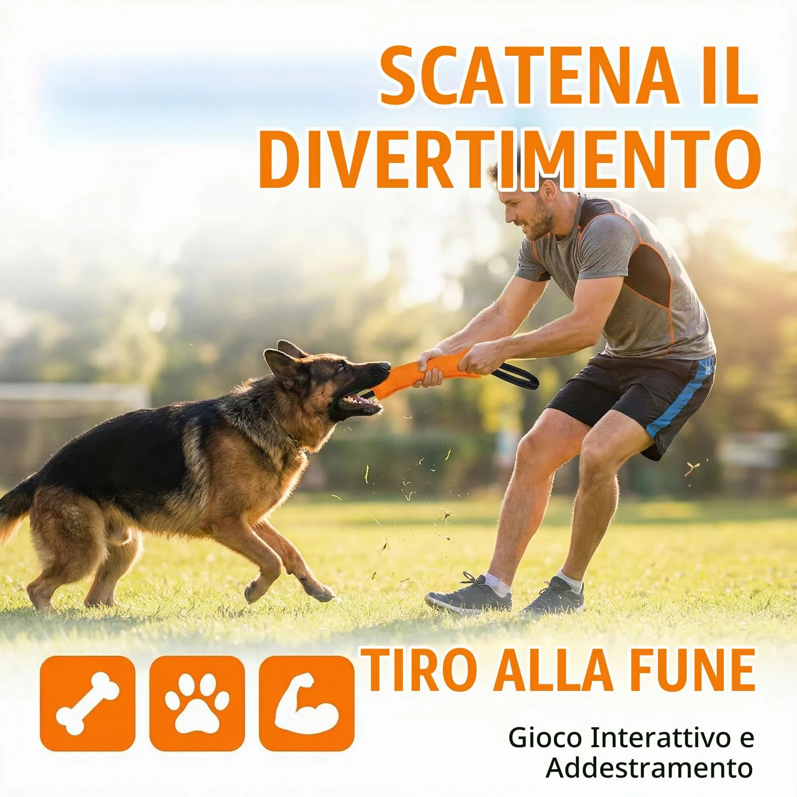 Ziyonix Manicotto Salsicciotto per Cani con 2 Maniglie, 30cm, 2 Pezzi - immagine 6