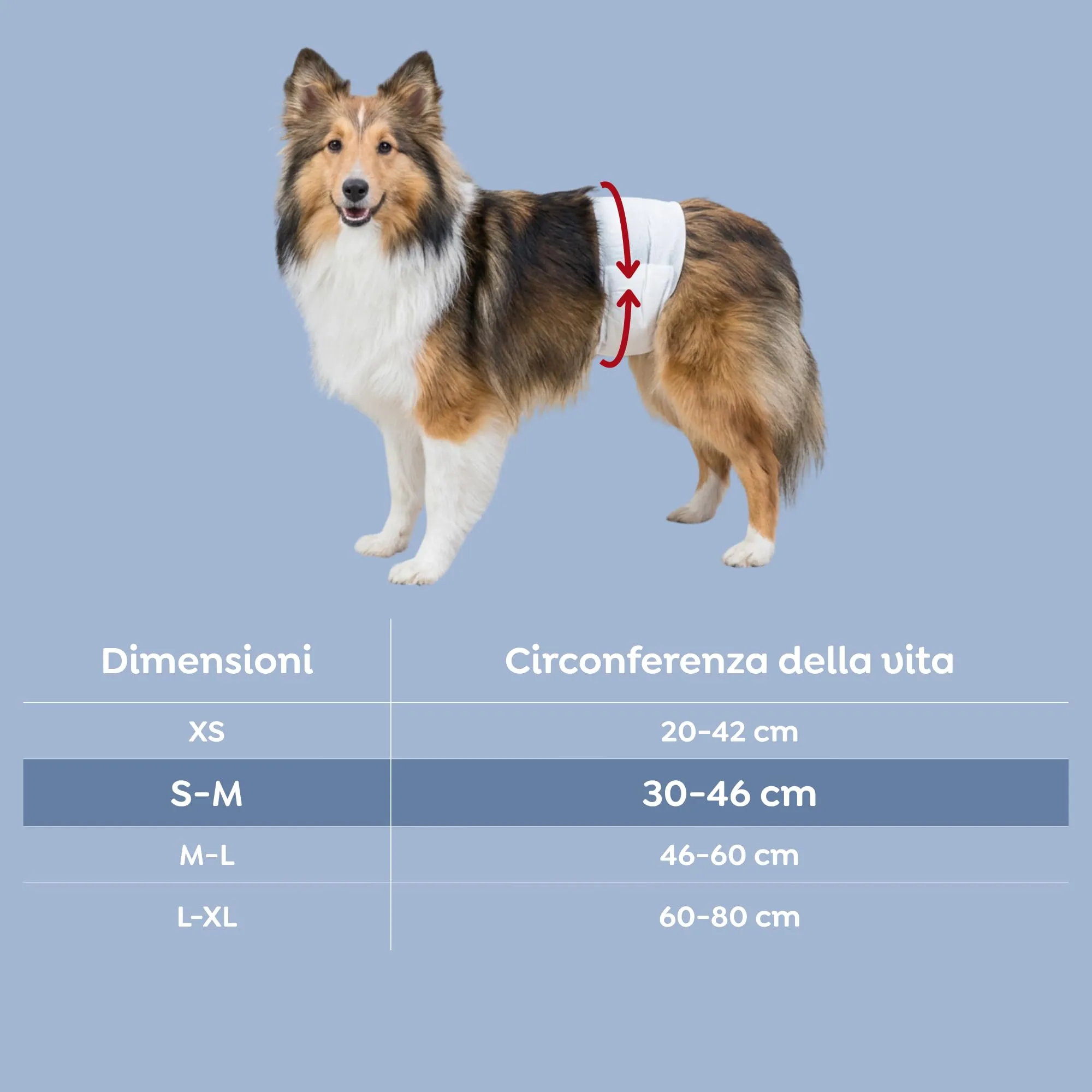 TRIXIE Pannolini per cani maschi, S-M (30-46 cm), 12 pezzi - immagine 3