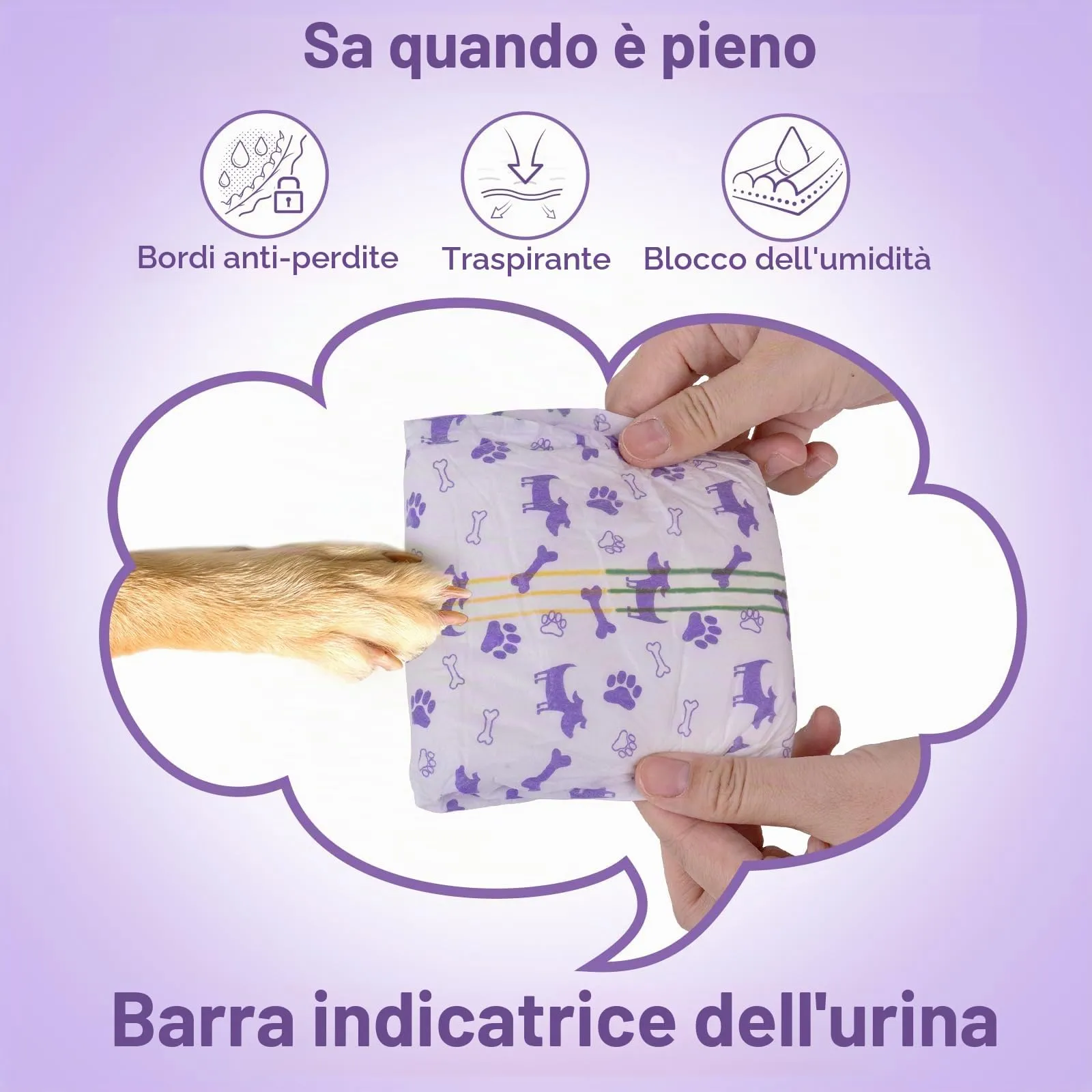 MICOOYO Pannolini Monouso per Cani Femmina e Gatti, XS, 20 Pezzi - immagine 4