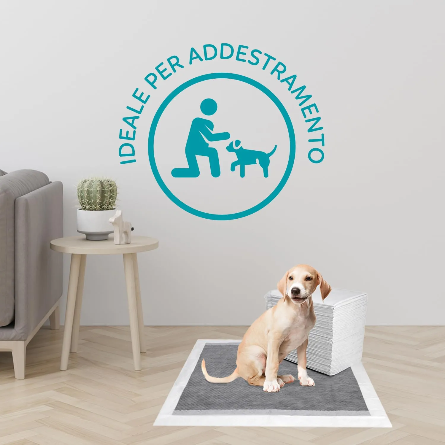 AQPET Tappetini Igienici Assorbenti con Carboni Attivi per Cane e Cuccioli, Anti Odore, 60x60 cm, 100 Pezzi - immagine 2
