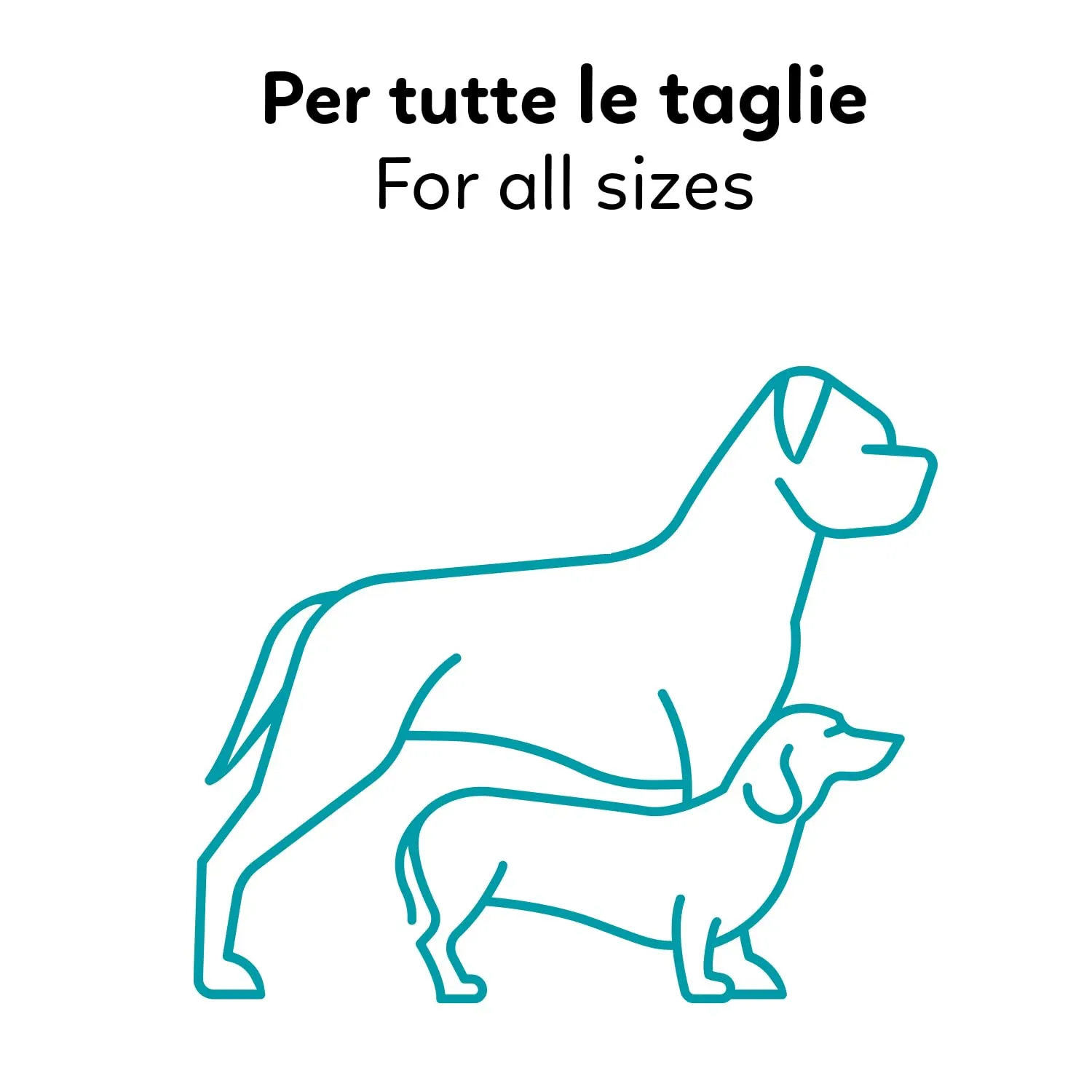 AQPET Tappetini Igienici Assorbenti con Carboni Attivi per Cane e Cuccioli, Anti Odore, 60x90 cm, 200 Pezzi - immagine 7