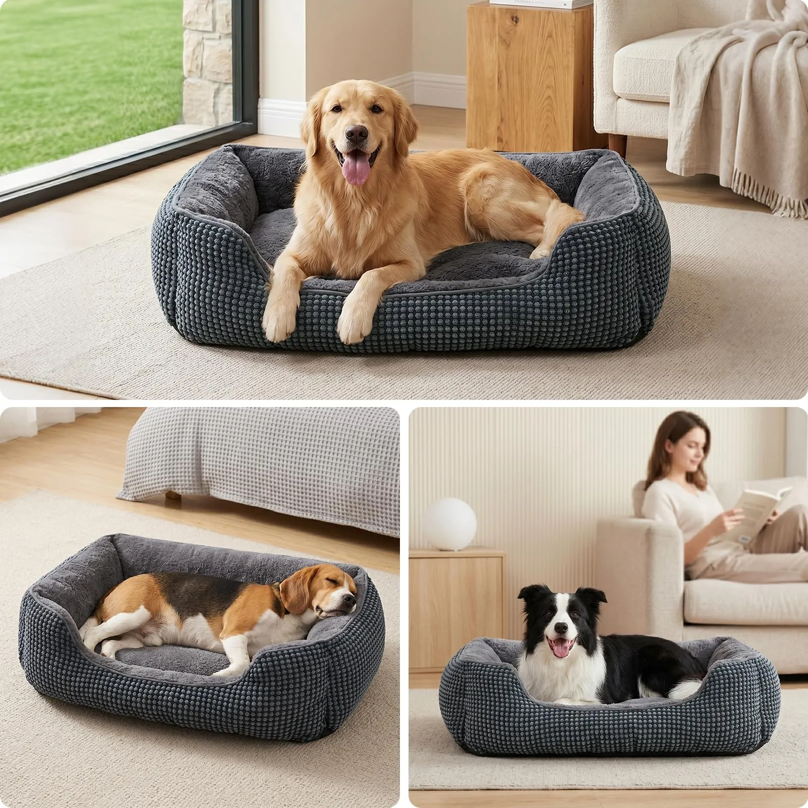 FURTIME Cuccia Cane Interno Lavabile, 63x53x20cm - immagine 2