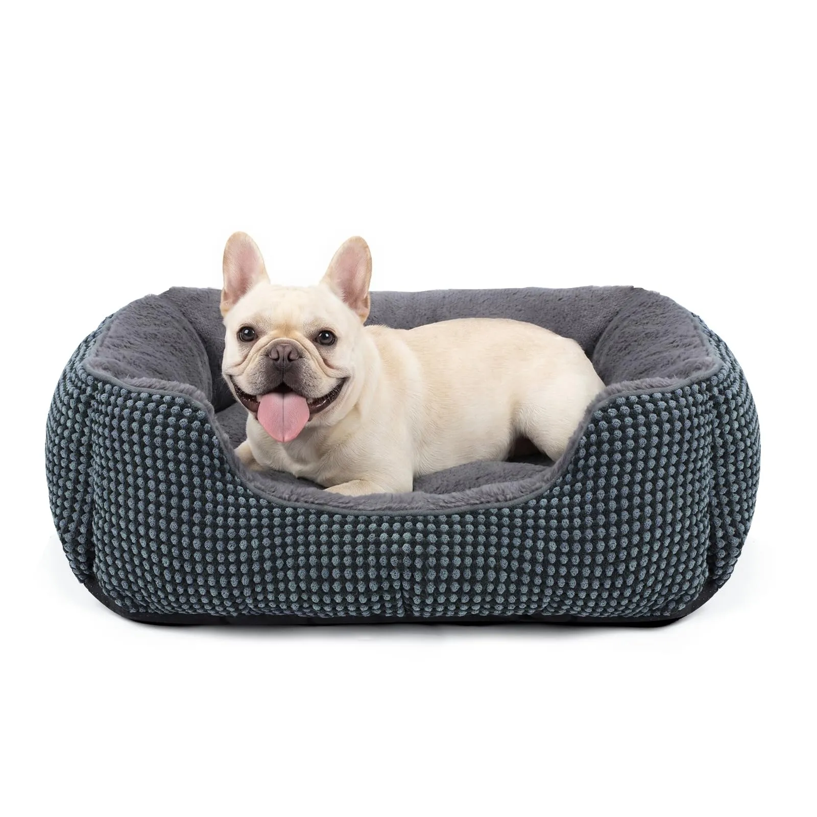 FURTIME Cuccia Cane Interno Lavabile, 51x48x15cm - immagine 1