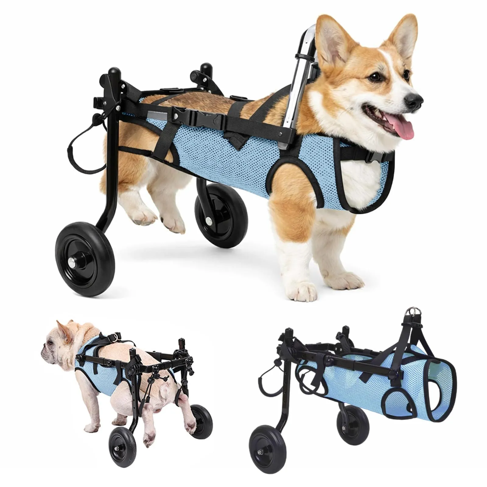 BOYIFEIJIE Sedia a rotelle per cani e gatti di piccola taglia, telaio in alluminio regolabile per mobilità arti posteriori, Blu, M (5–10 kg) - immagine 1