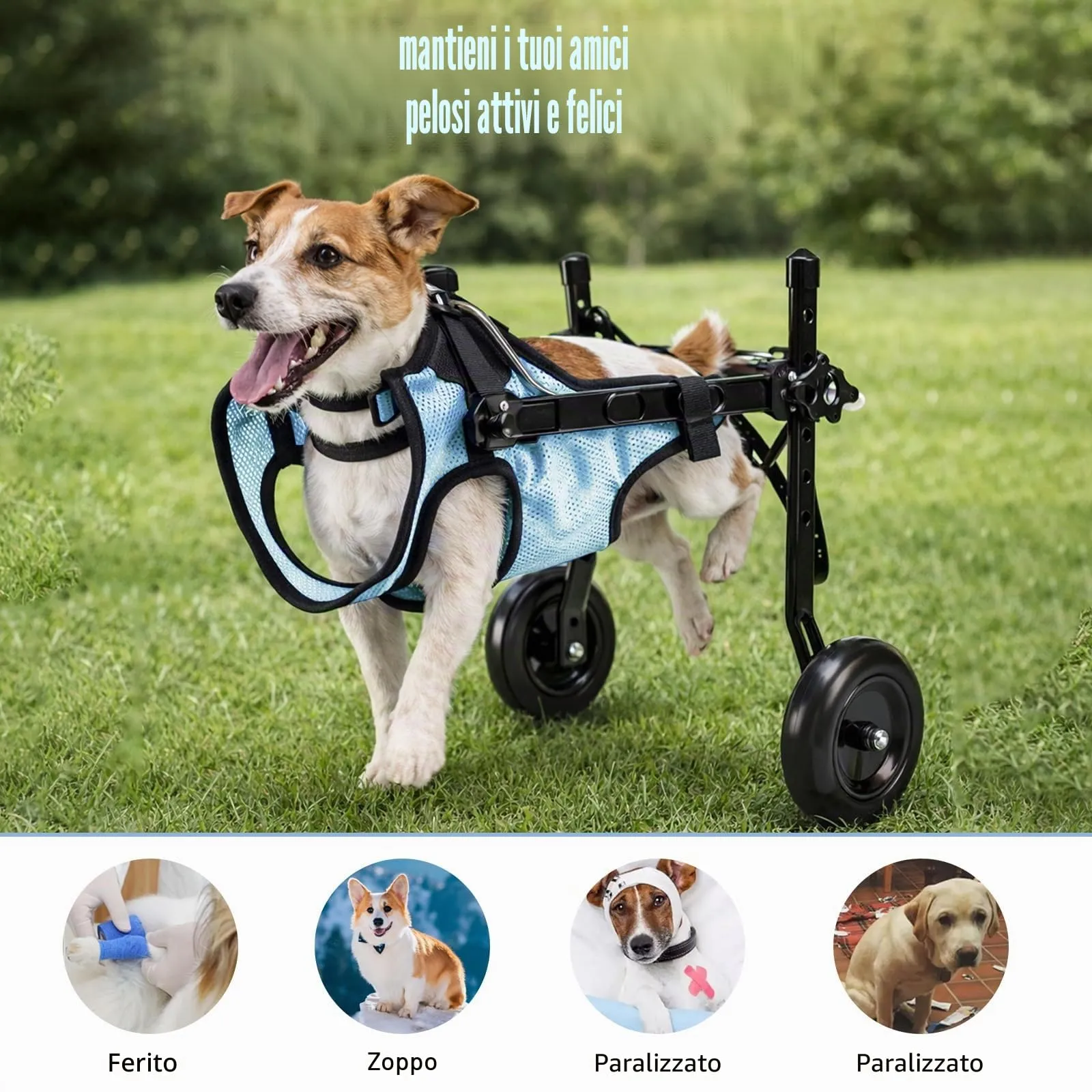 BOYIFEIJIE Sedia a rotelle per cani e gatti di piccola taglia, telaio in alluminio regolabile per mobilità arti posteriori, Blu, M (5–10 kg) - immagine 6