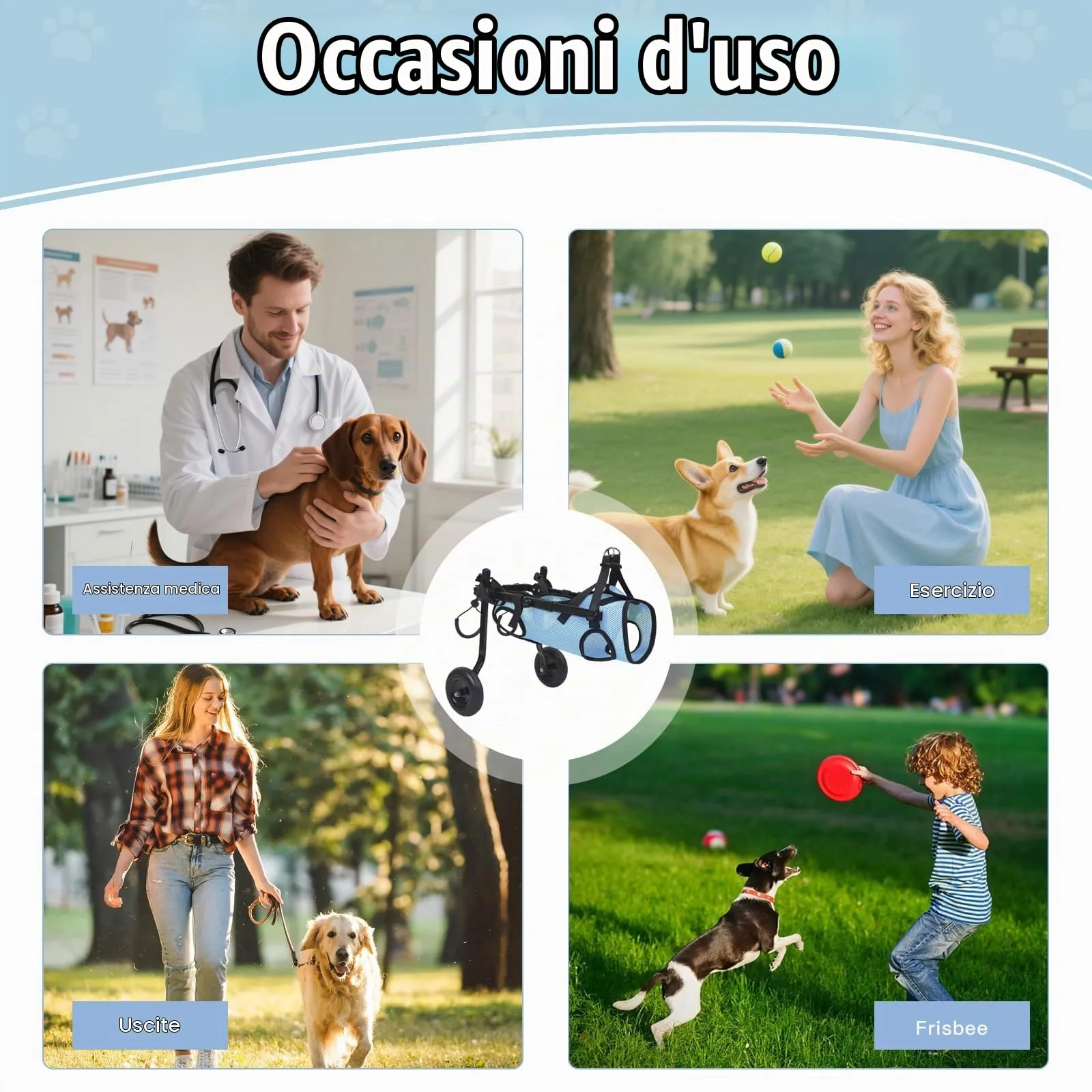 BOYIFEIJIE Sedia a rotelle per cani e gatti di piccola taglia, telaio in alluminio regolabile per mobilità arti posteriori, Blu, M (5–10 kg) - immagine 7