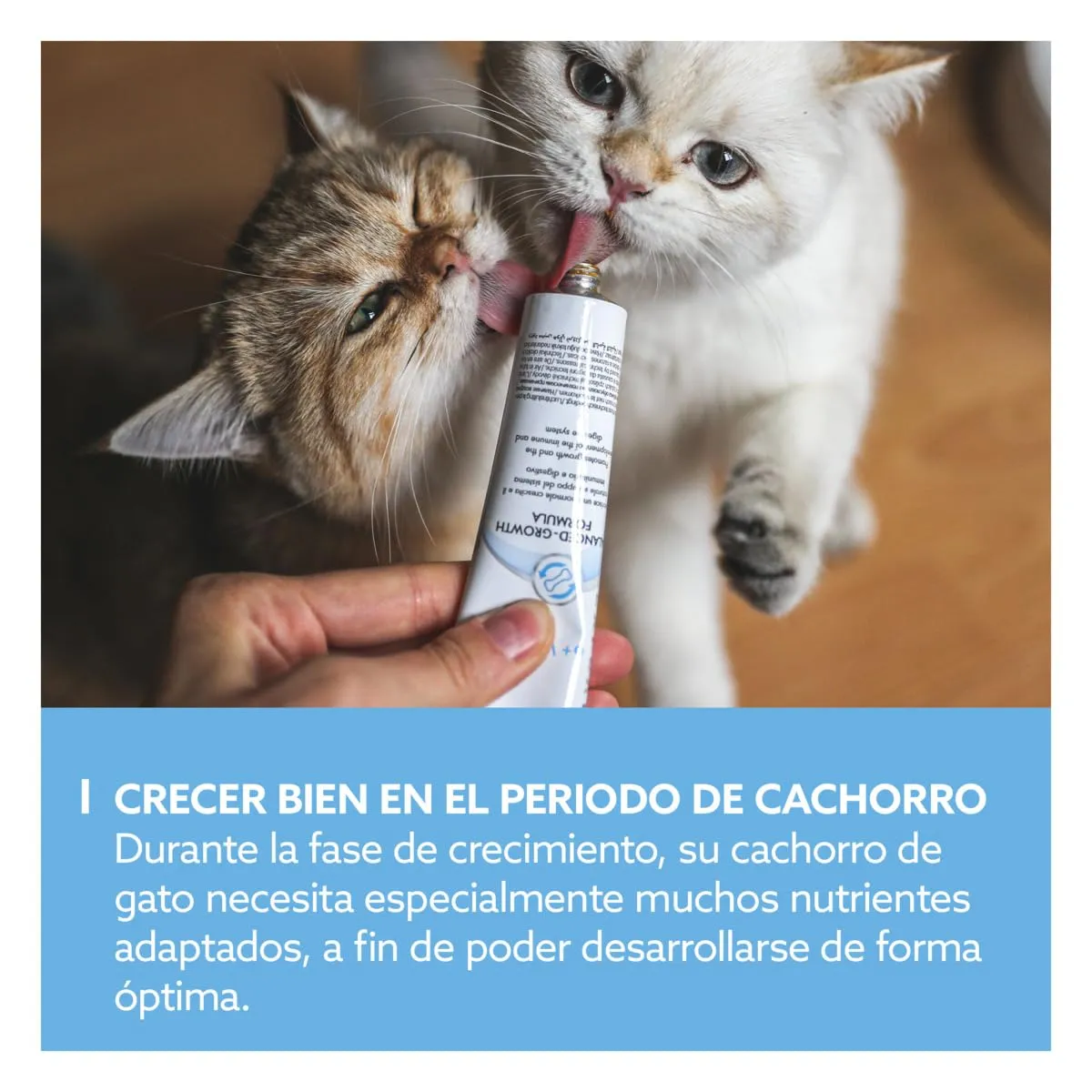 GimCat Expert Line Kitten Pasta, 50 g - immagine 3