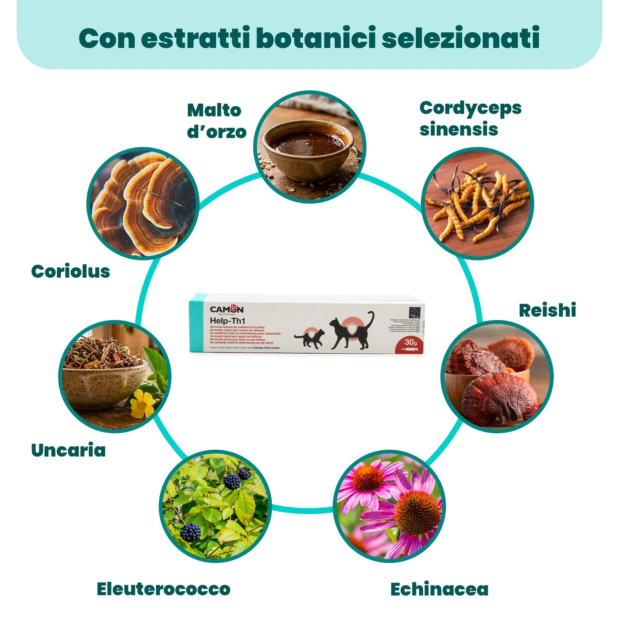 Camon Help-TH1 Pasta in Siringa, 30g - immagine 3