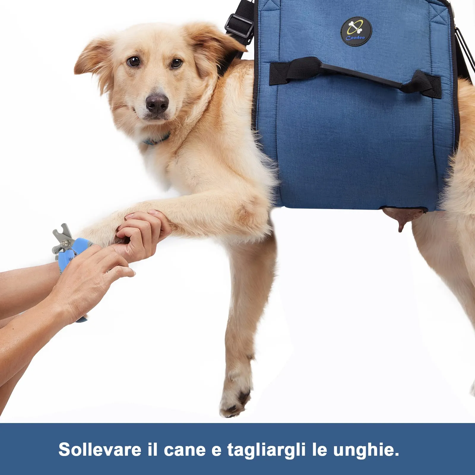 COODEO Dog Carry Sling Pet Leg Support Lift Harness for Arthritis (XL, Blu) - immagine 8