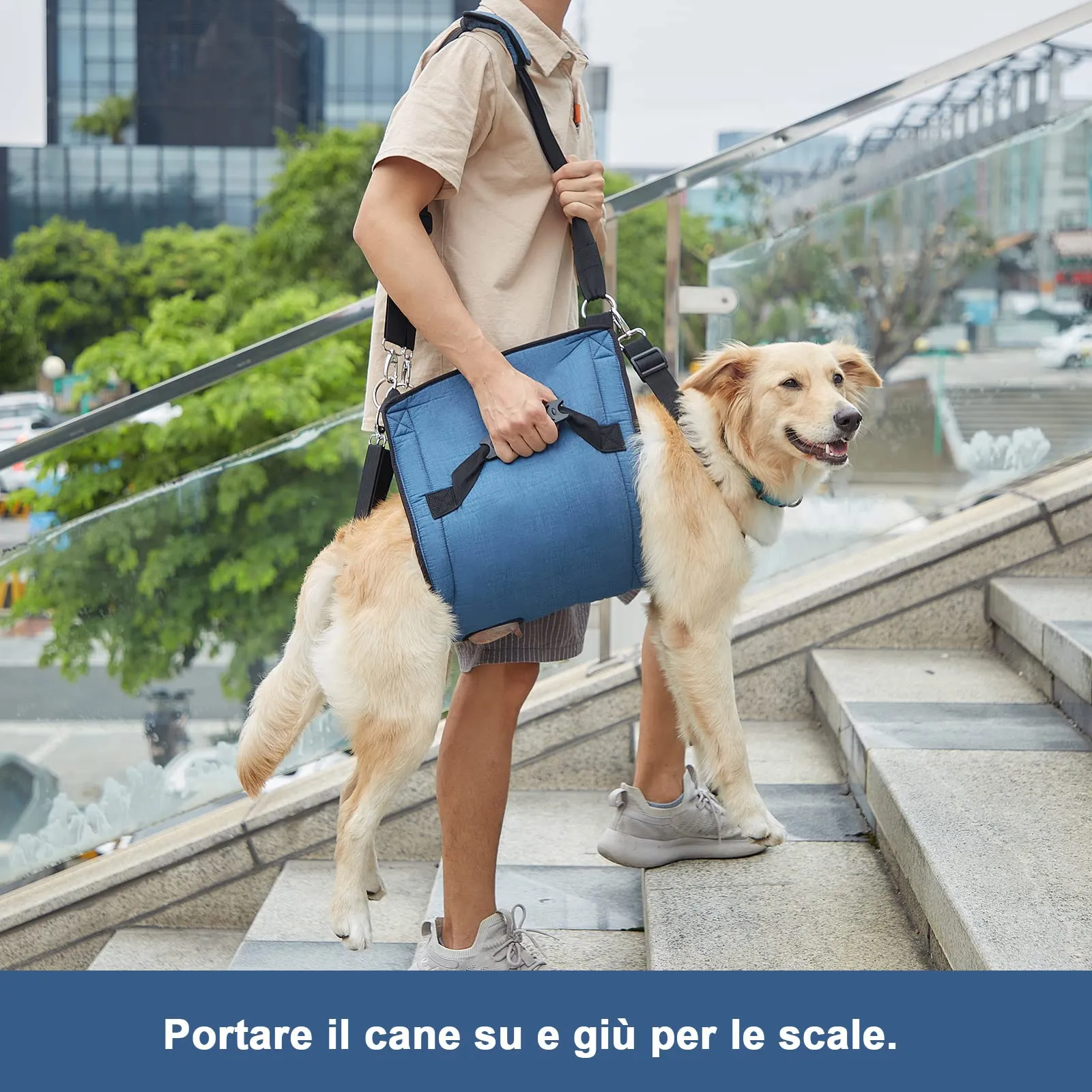 COODEO Dog Carry Sling Support Harness for Arthritis (L, Blu) - immagine 3