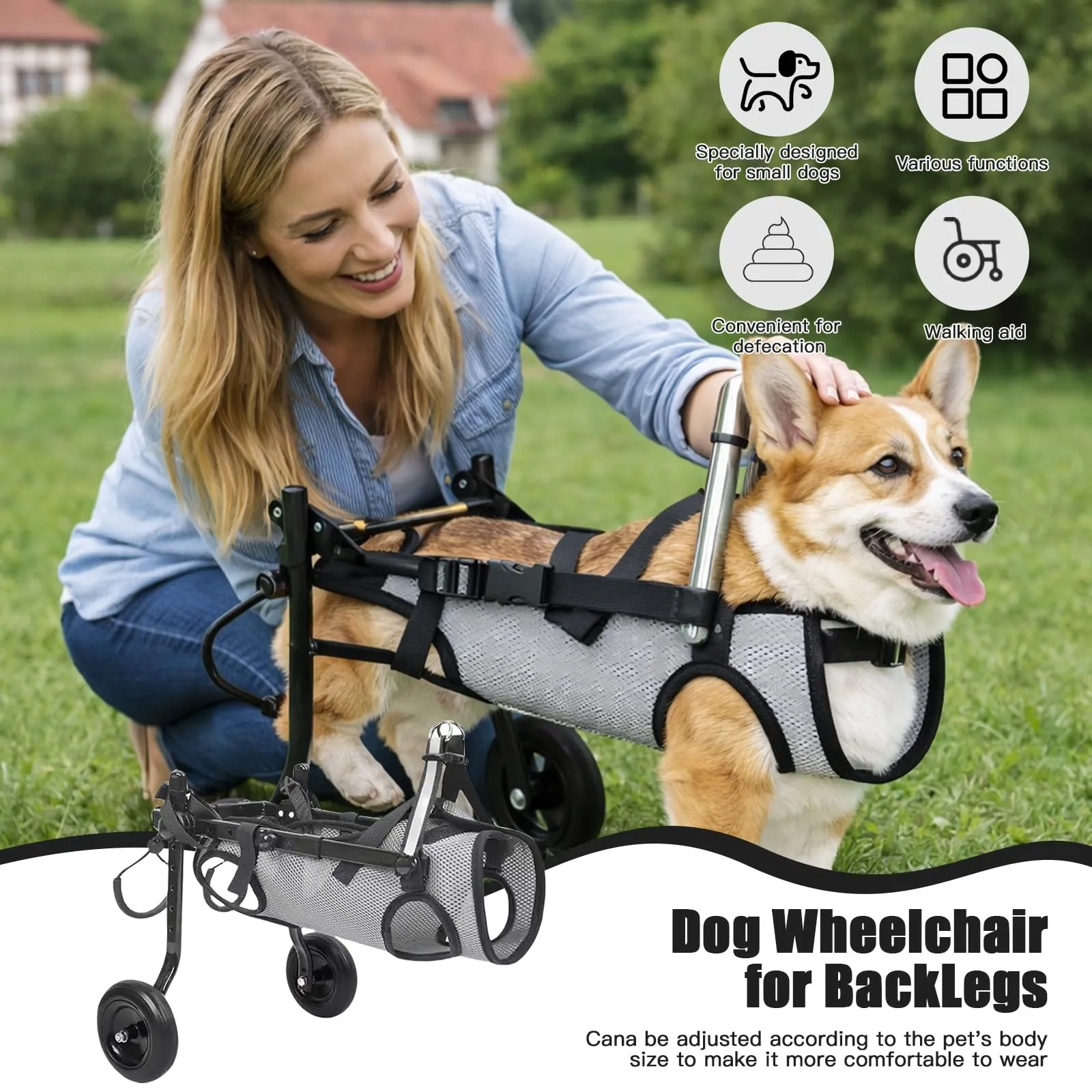 BOYIFEIJIE Sedia a Rotelle per Cani di Piccola Taglia, Carrozzina Leggera e Regolabile per Zampe Posteriori, XS (fino a 3,5 kg), Grigio - immagine 5