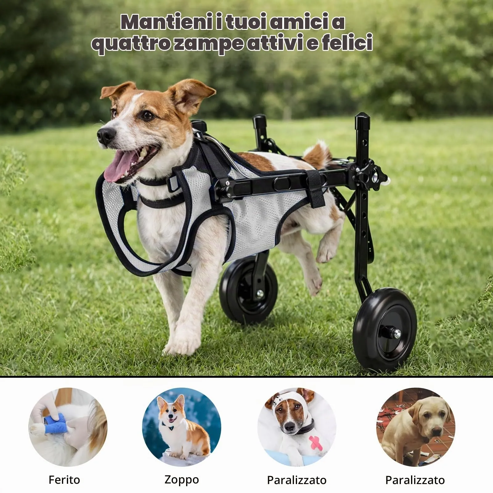 BOYIFEIJIE Sedia a Rotelle per Cani di Piccola Taglia, Carrozzina Leggera e Regolabile per Zampe Posteriori, XS (fino a 3,5 kg), Grigio - immagine 6