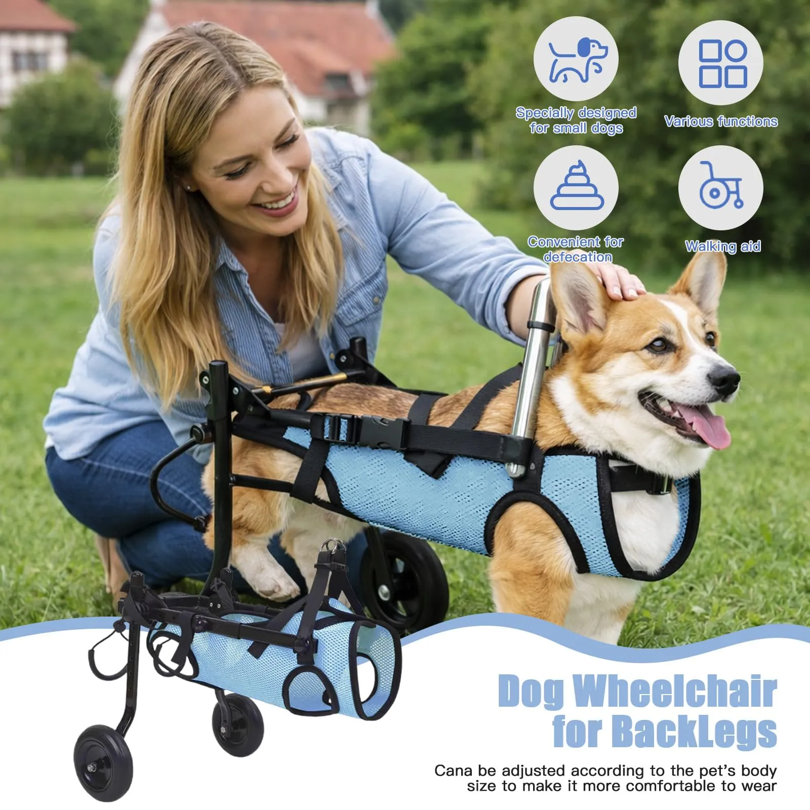 BOYIFEIJIE Sedia a rotelle per cani e gatti di piccola taglia, telaio in alluminio regolabile, Blu, XS (peso fino a 3,5 kg) - immagine 5