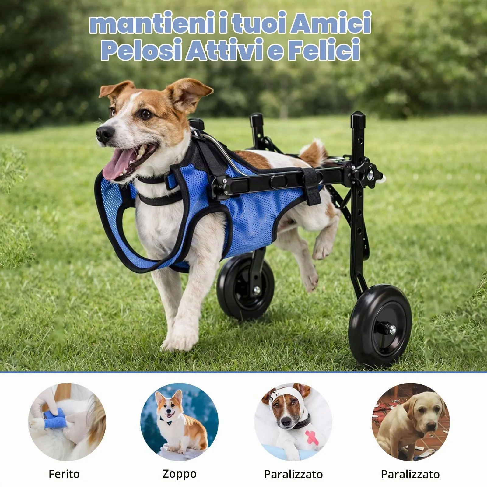 BOYIFEIJIE Sedia a rotelle per zampe posteriori per cani e gatti di piccola taglia, telaio in alluminio regolabile, blu scuro, S (3–5,5 kg) - immagine 6