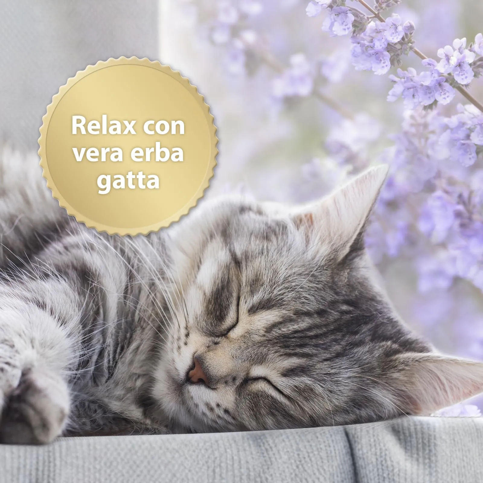 Felisept Home Comfort Collare Calmante per Gatti con Erba Gatta Naturale - immagine 2