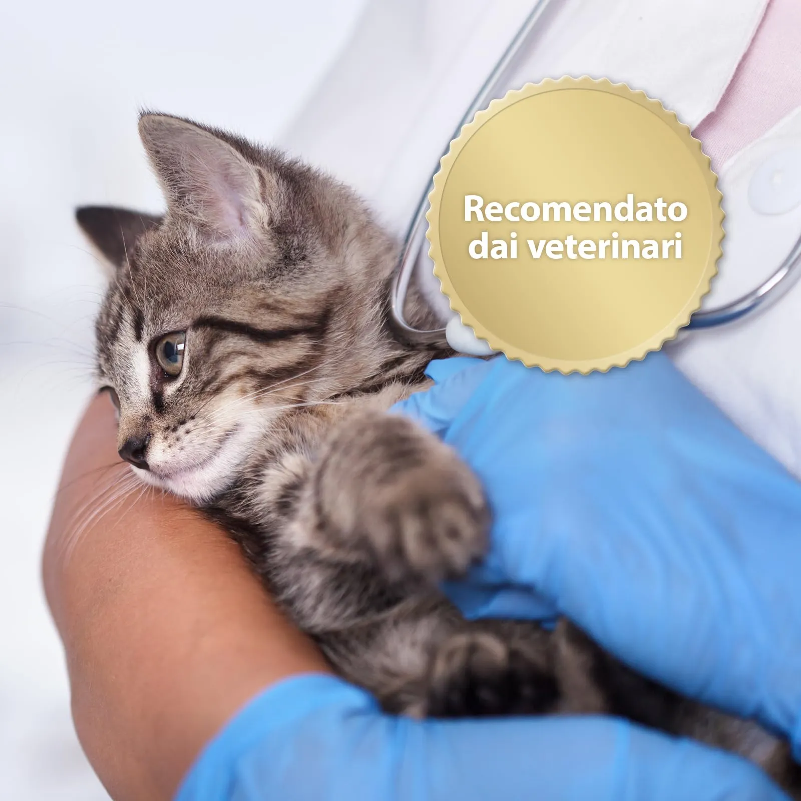 Felisept Home Comfort Collare Calmante per Gatti con Erba Gatta Naturale - immagine 3