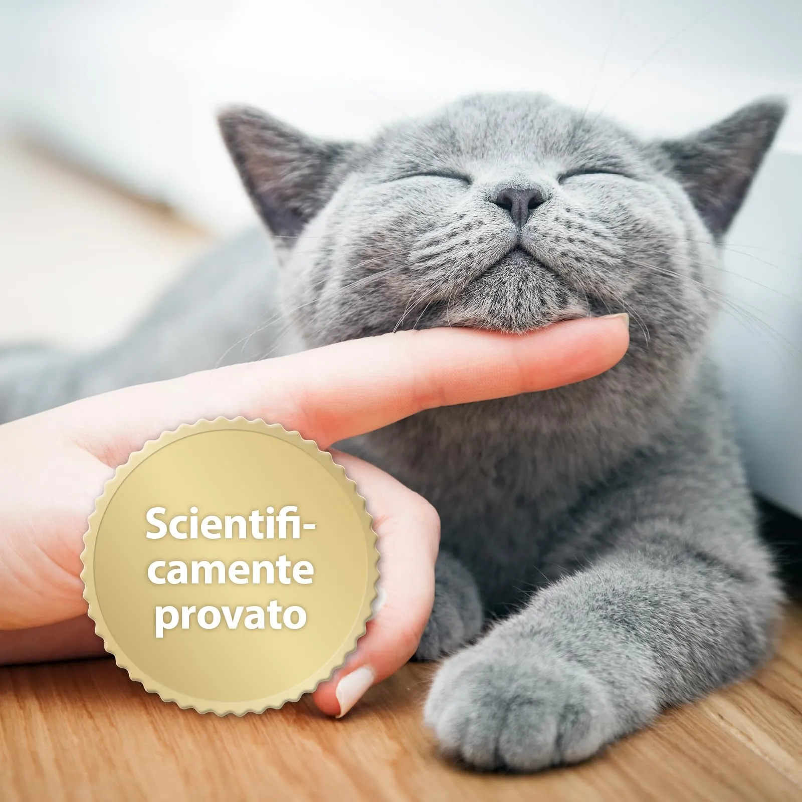 Felisept Home Comfort Collare Calmante per Gatti con Erba Gatta Naturale - immagine 4