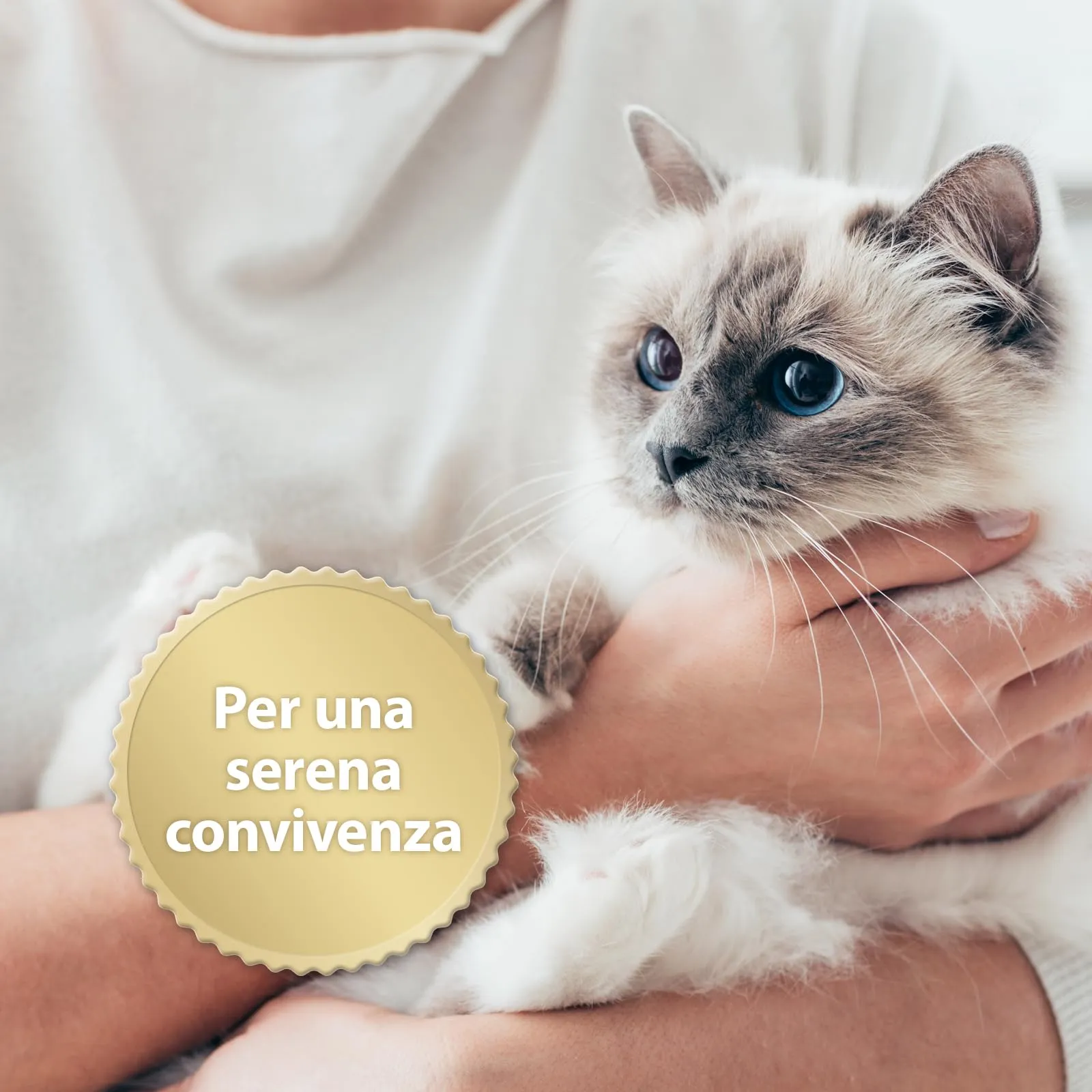 Felisept Home Comfort Collare Calmante per Gatti con Erba Gatta Naturale - immagine 5