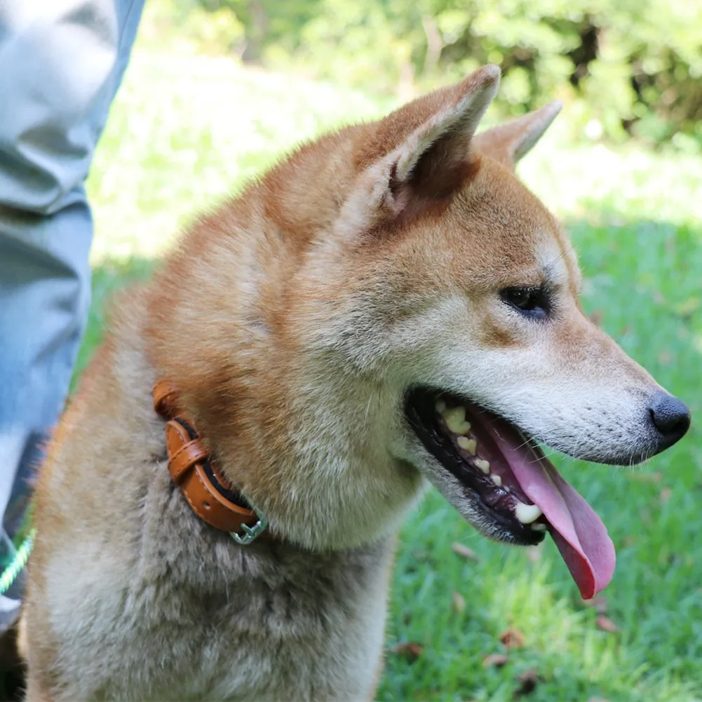 Grand Line Collare per Cani in Pelle Regolabile con Imbottitura Morbida e Perforatore, Marrone (S) - immagine 8