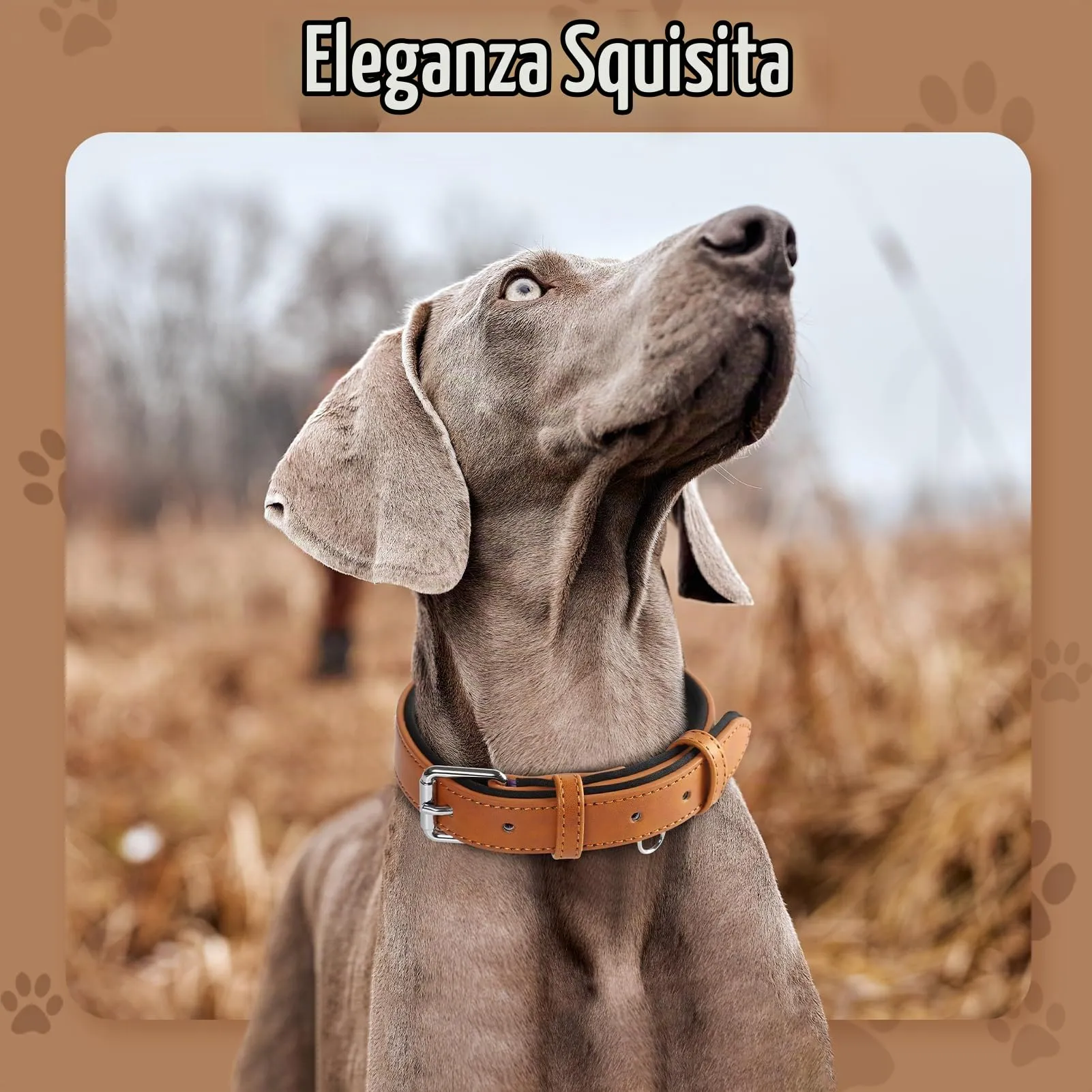 Grand Line Collare per Cane in Pelle Imbottito, Marrone, M - immagine 2