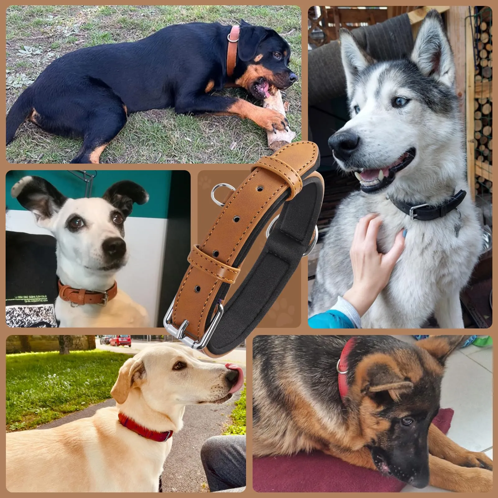 Grand Line Collare per Cane in Pelle con Imbottitura Morbida, Marrone, XS - immagine 7
