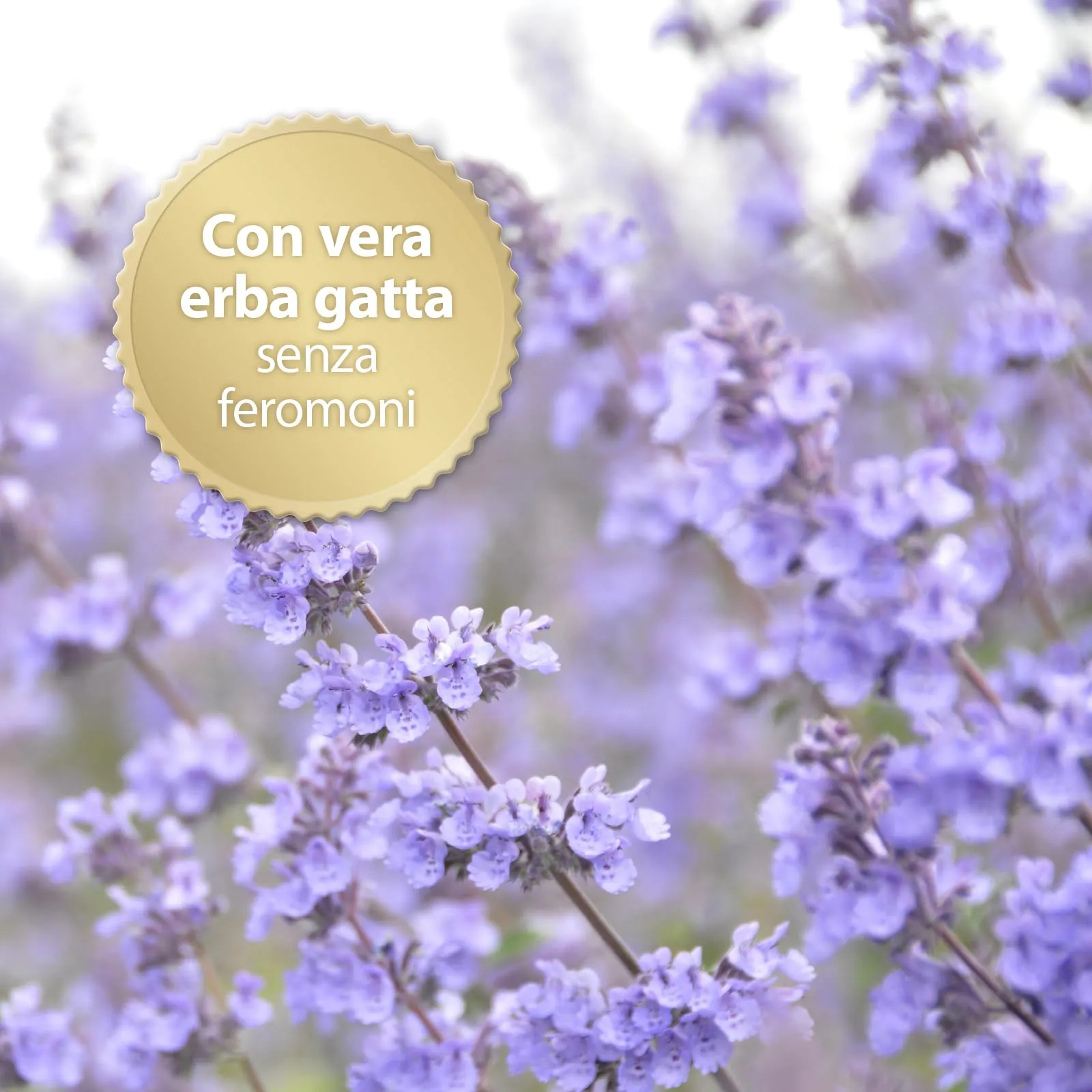 Felisept Home Comfort Ricarica 3x45 ml - Con erba gatta naturale senza feromoni - immagine 5