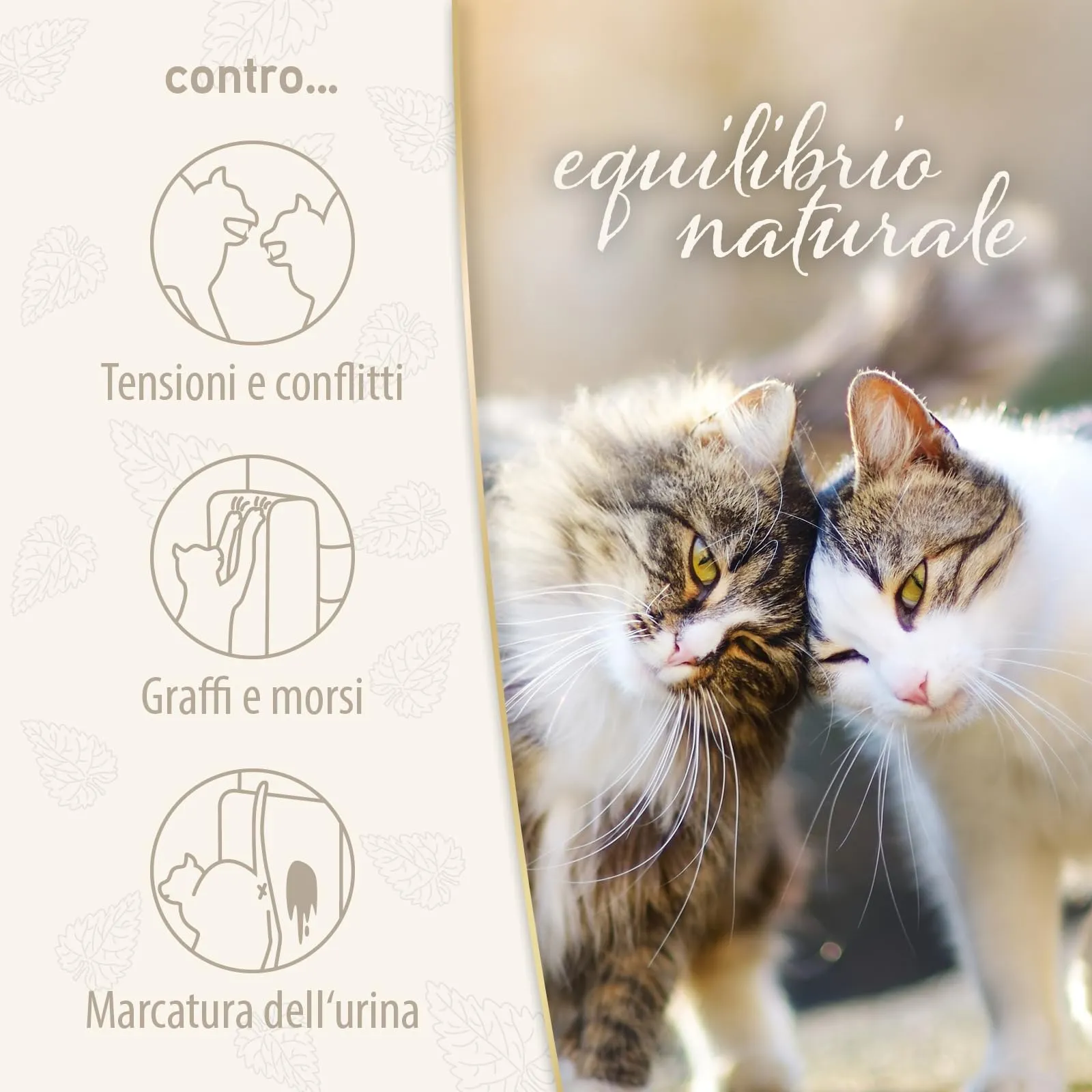Felisept Family Comfort Diffusore Antistress per Gatti, Set 45ml con Erba Gatta Naturale - immagine 6
