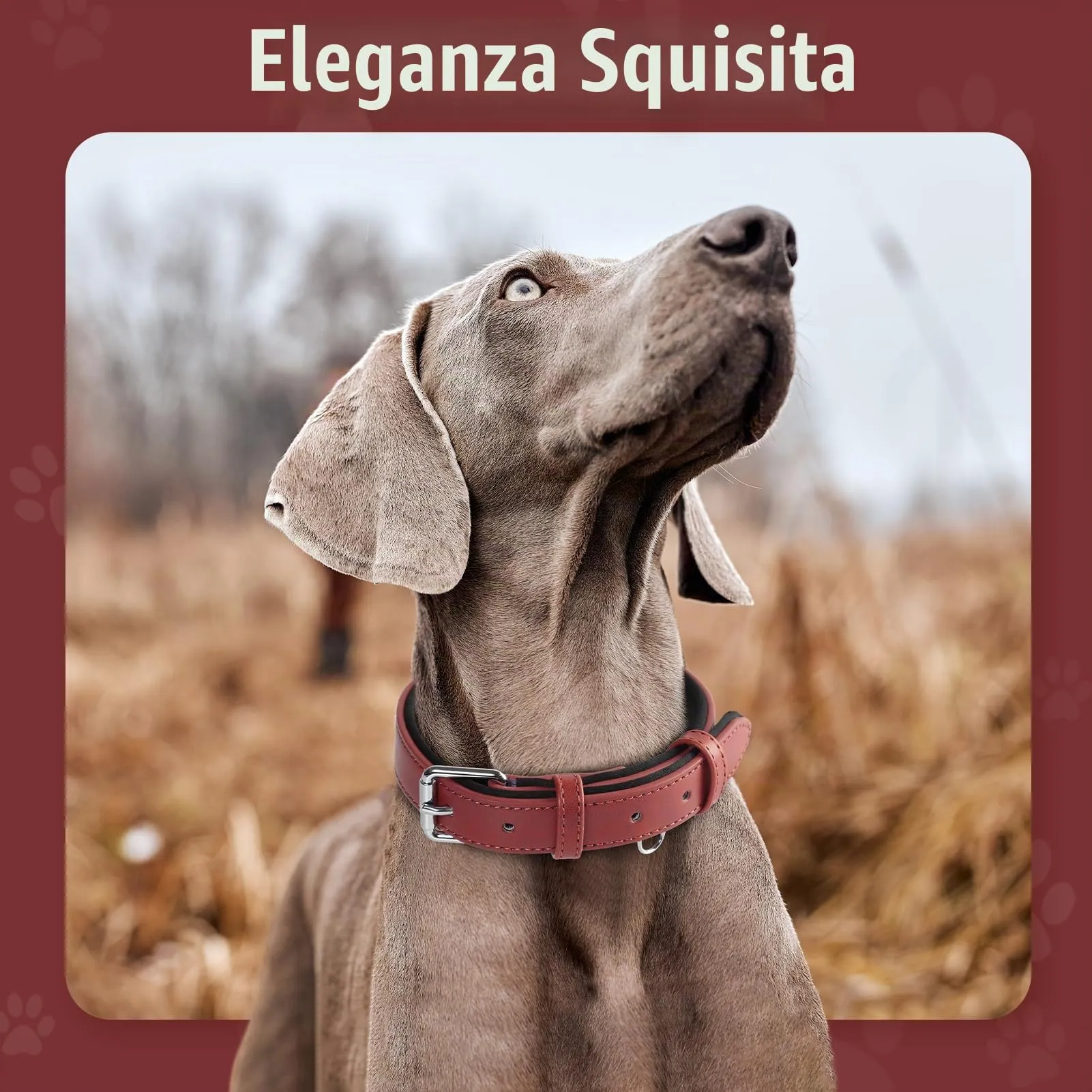 Grand Line Collare per Cane in Pelle Imbottito Regolabile, Rosso, L - immagine 2