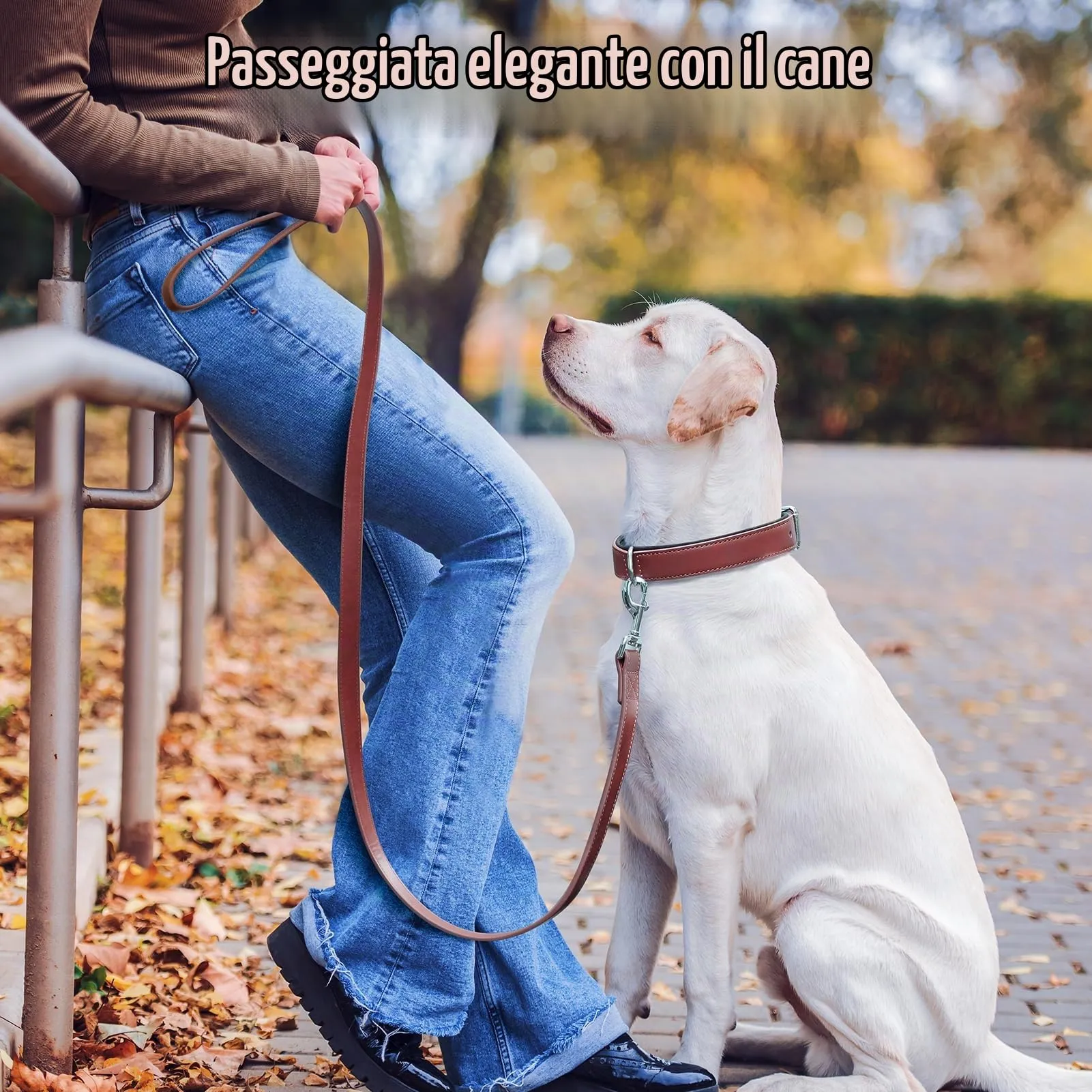 Grand Line Collare per Cane in Pelle Imbottito Regolabile, Rosso, L - immagine 6