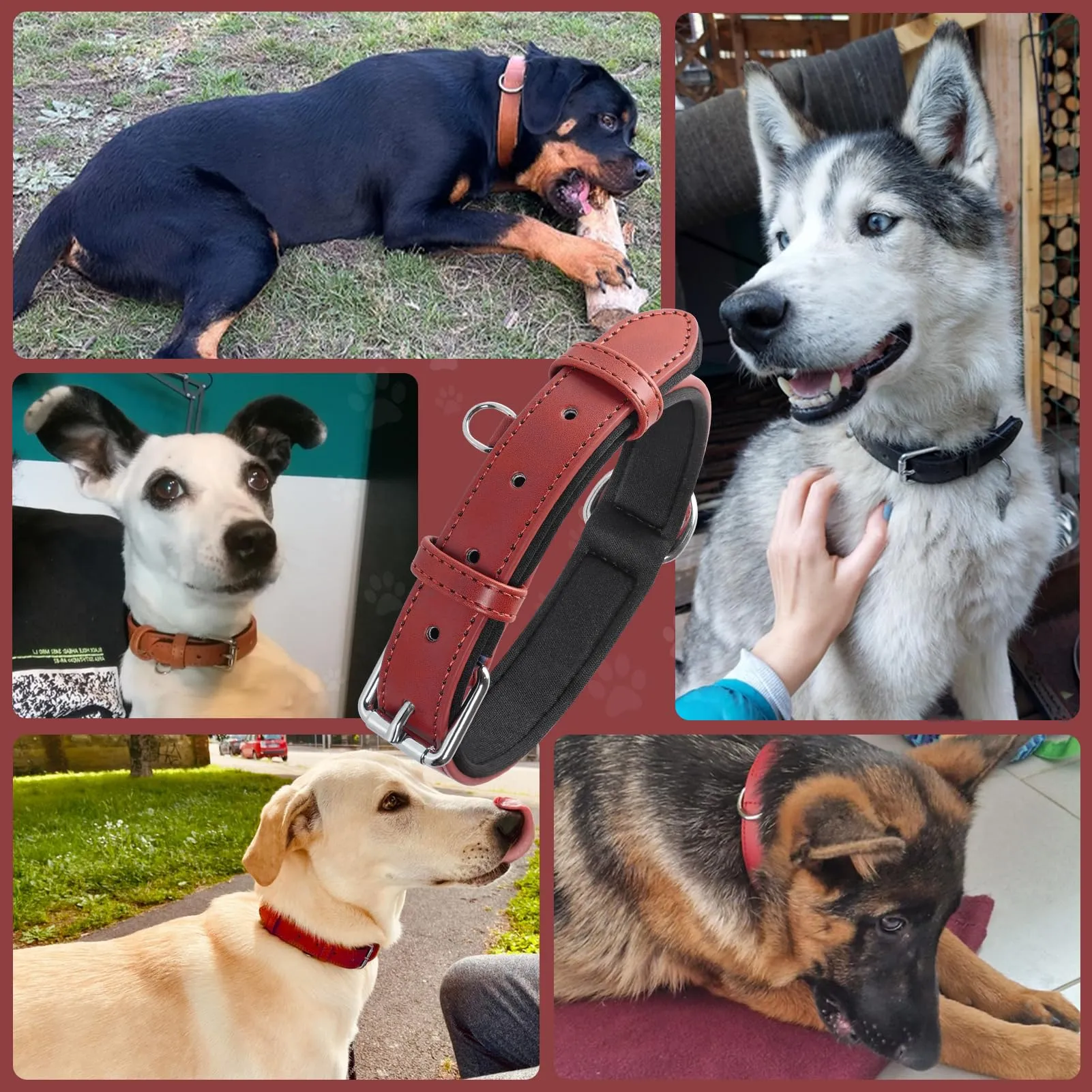 Grand Line Collare per Cane in Pelle Imbottito Regolabile, Rosso, L - immagine 7