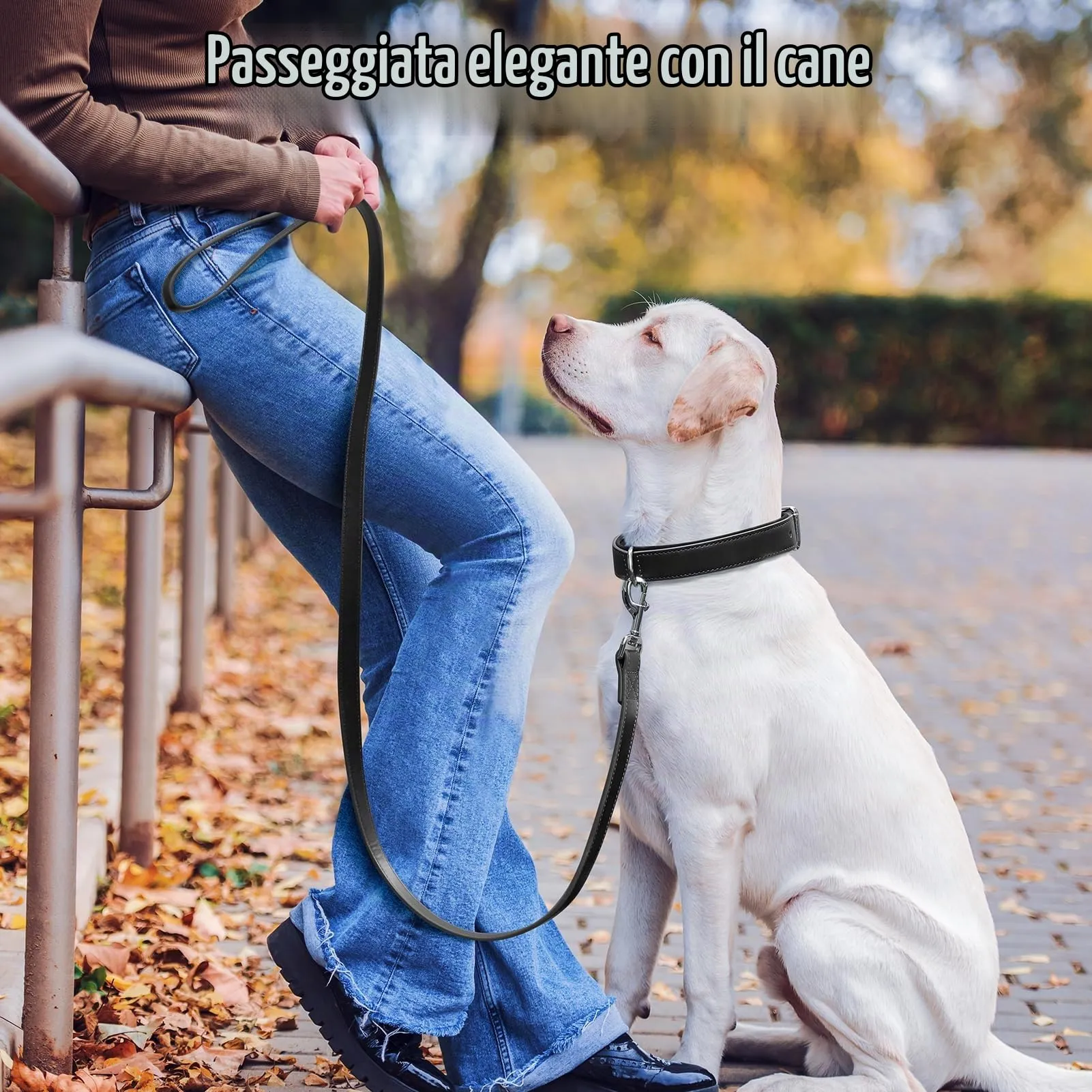 Grand Line Collare per Cane in Pelle Imbottito, Nero, L - immagine 6