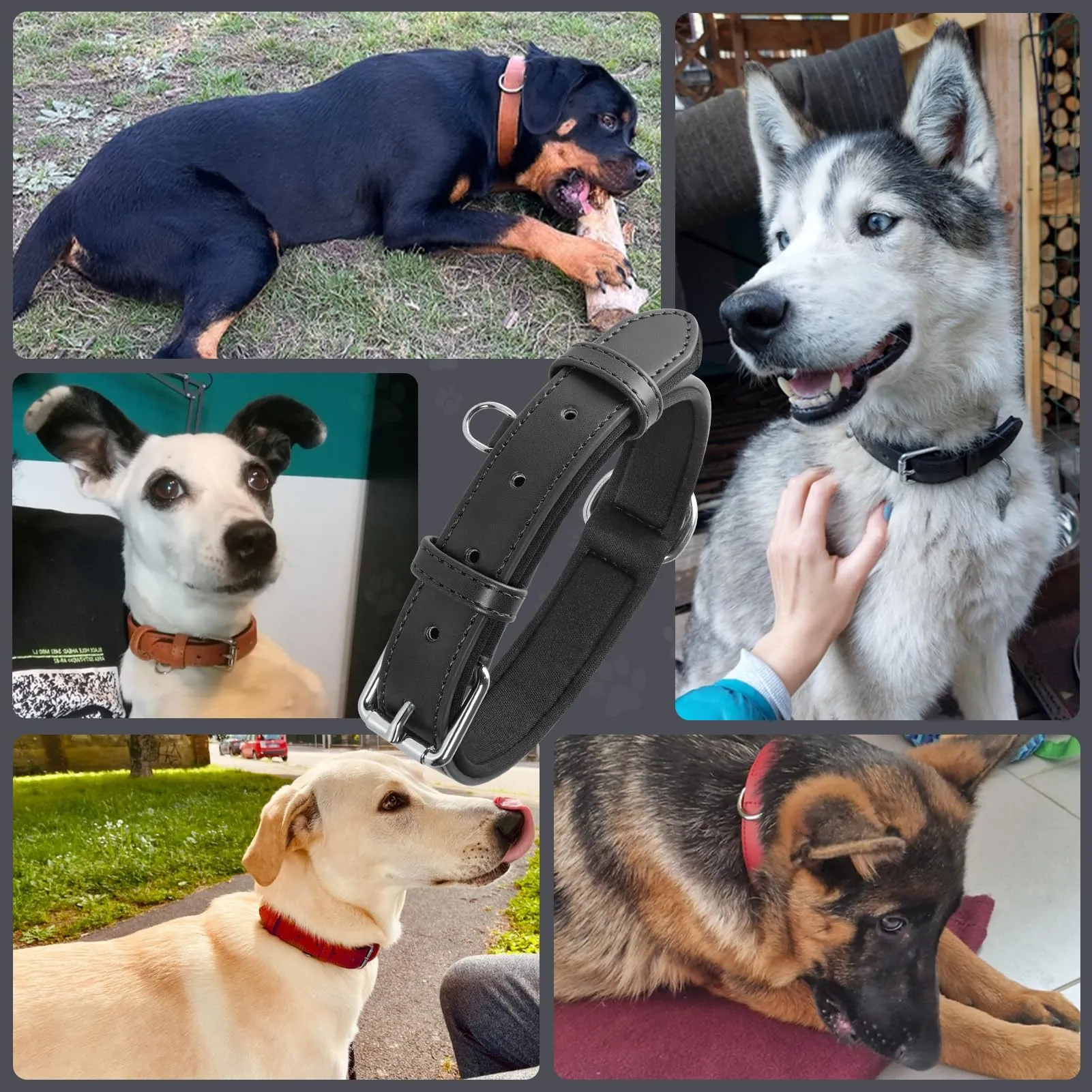 Grand Line Collare per Cane in Pelle con Imbottitura Morbida, Nero, S - immagine 7