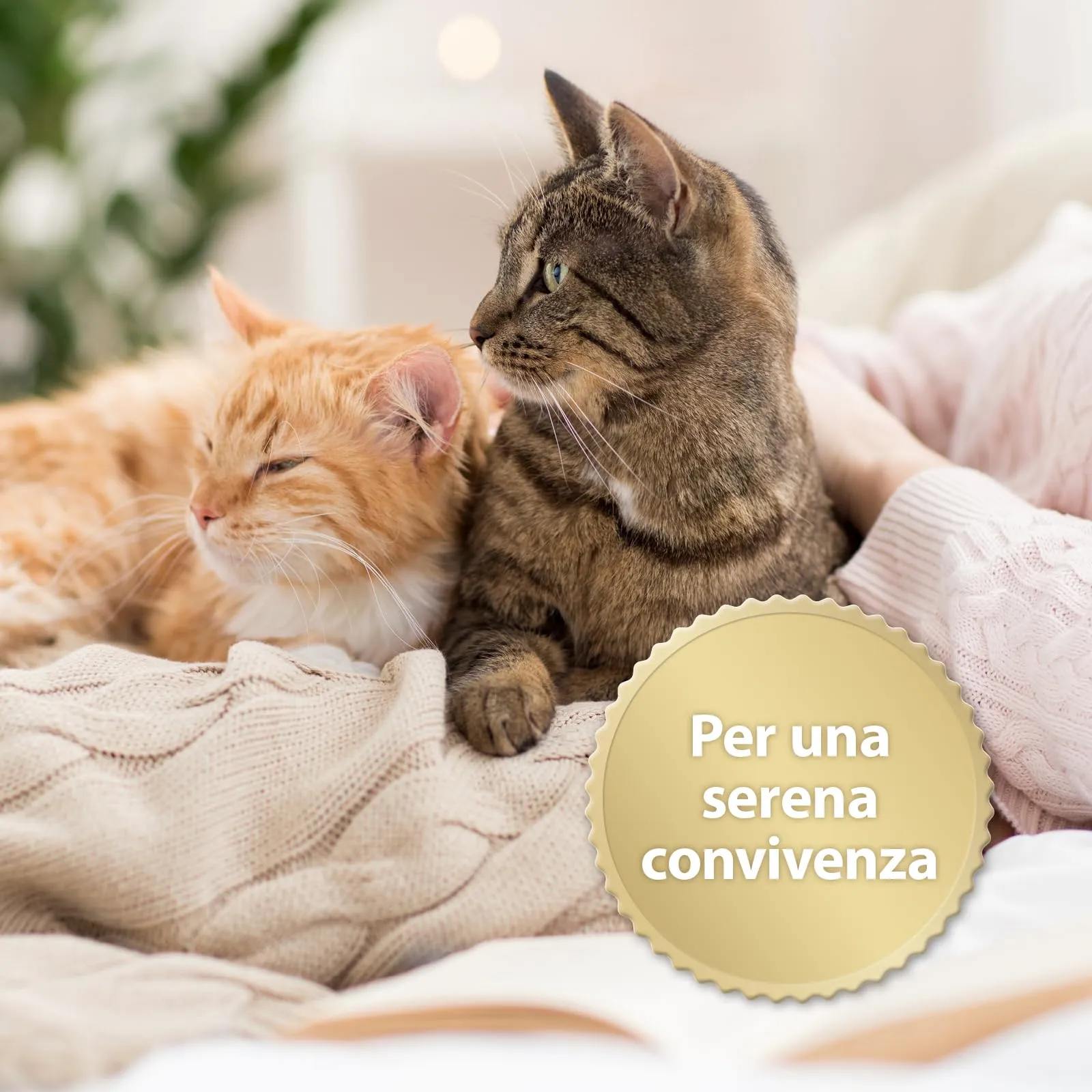 Felisept Family Comfort Ricarica 3x45 ml - Con erba gatta naturale senza feromoni - immagine 4