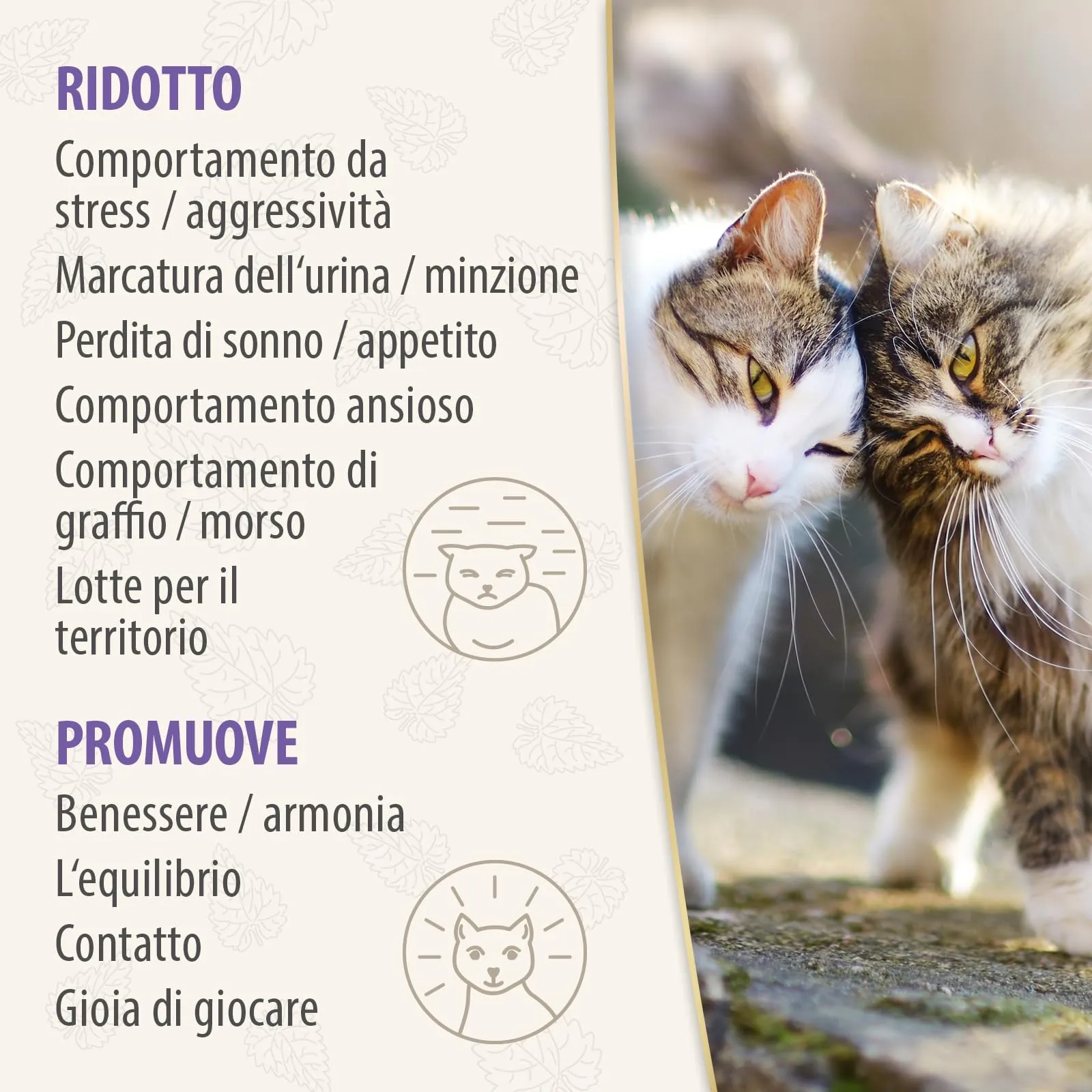 Felisept Family Comfort Ricarica 3x45 ml - Con erba gatta naturale senza feromoni - immagine 7