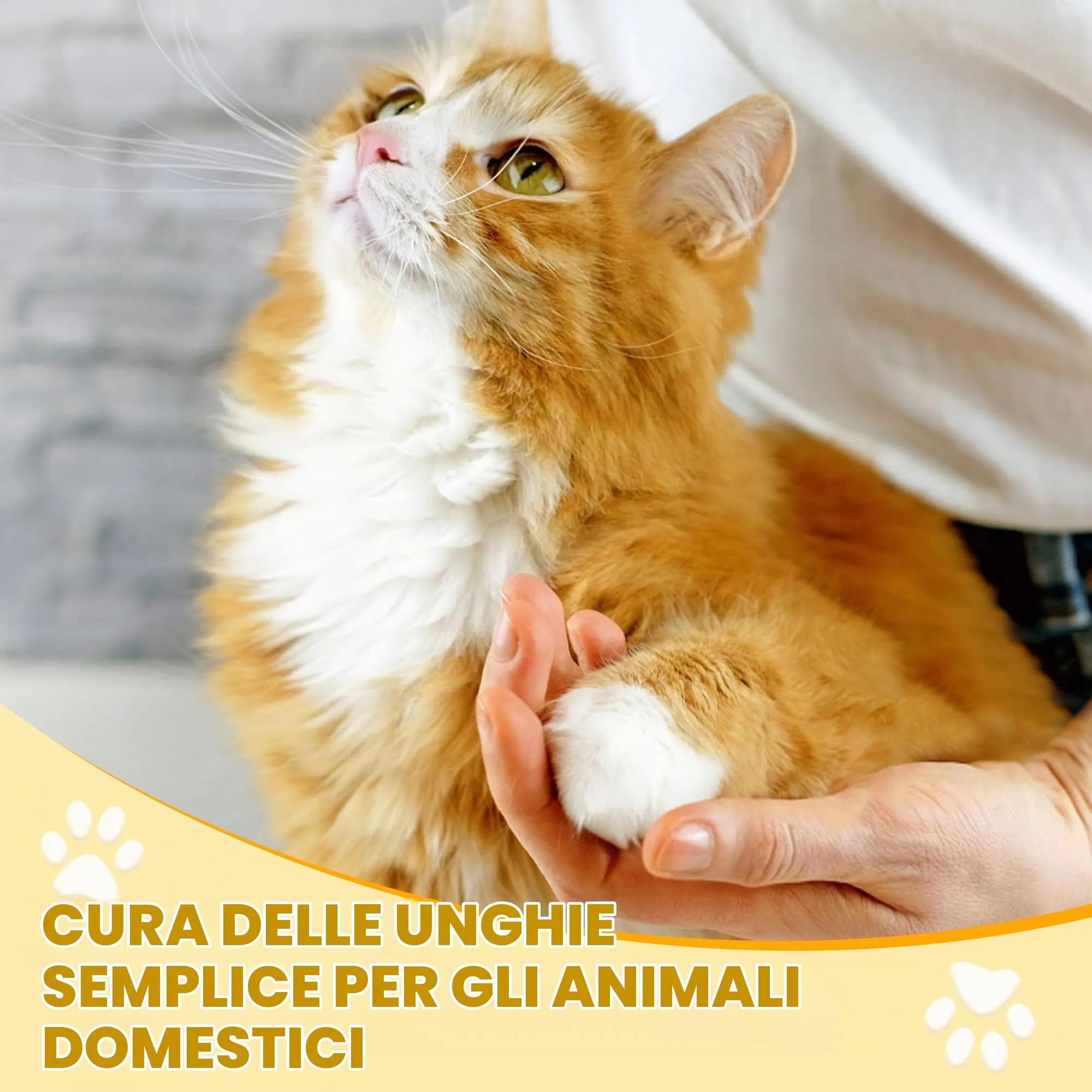 Cleanse Tagliaunghie in Acciaio Inossidabile per Gatti, Gattini e Piccoli Animali Domestici - immagine 7