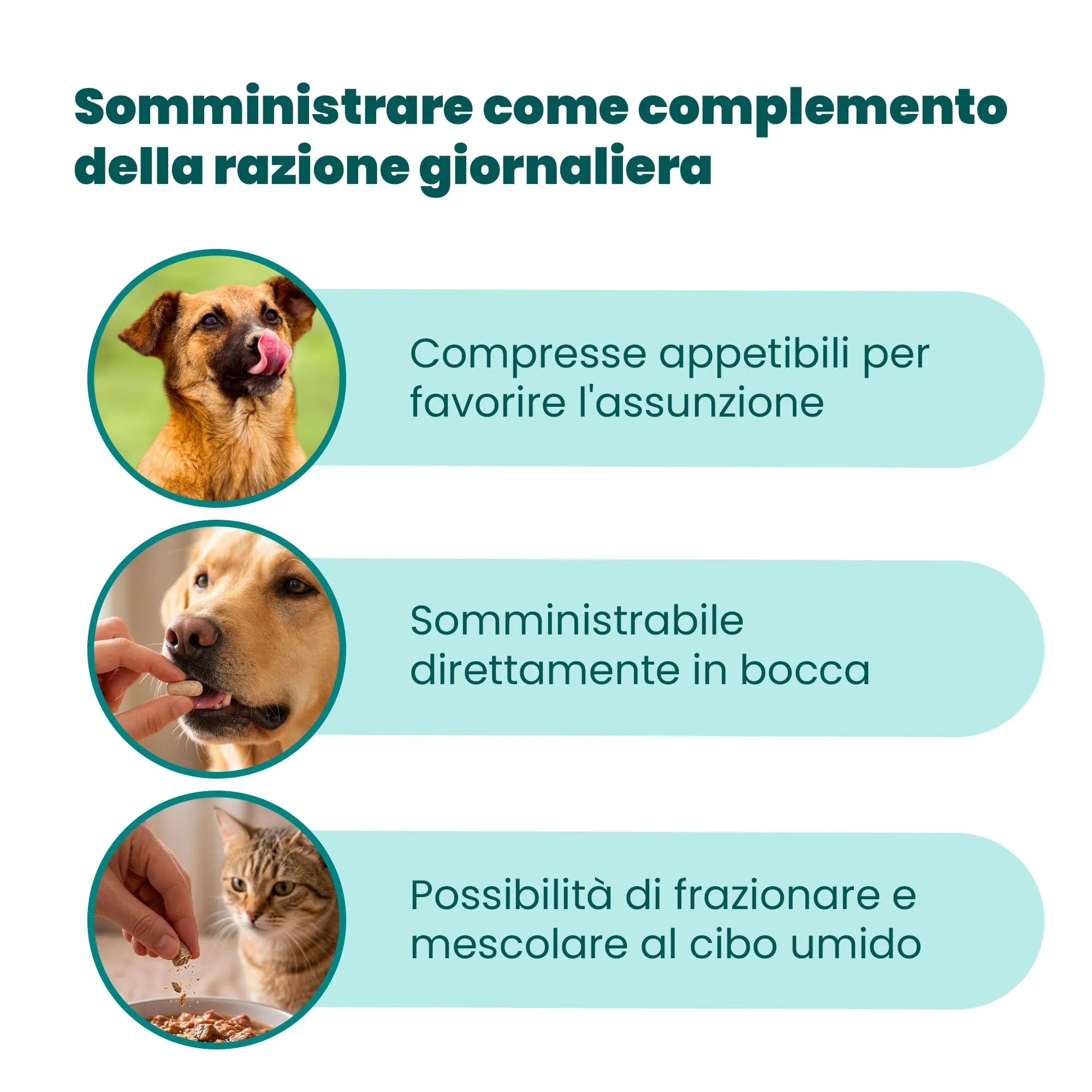 Camon Help-TH1 Alimento Complementare per Cani e Gatti, 30 Compresse - immagine 6