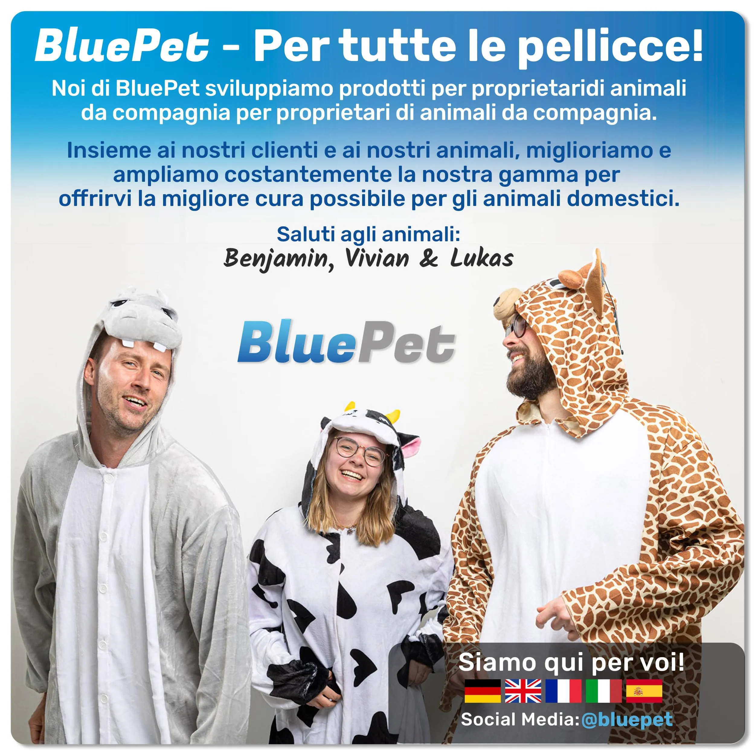 BluePet Pettine per Cani e Gatti Pelo Lungo con Denti Rinforzati - immagine 8