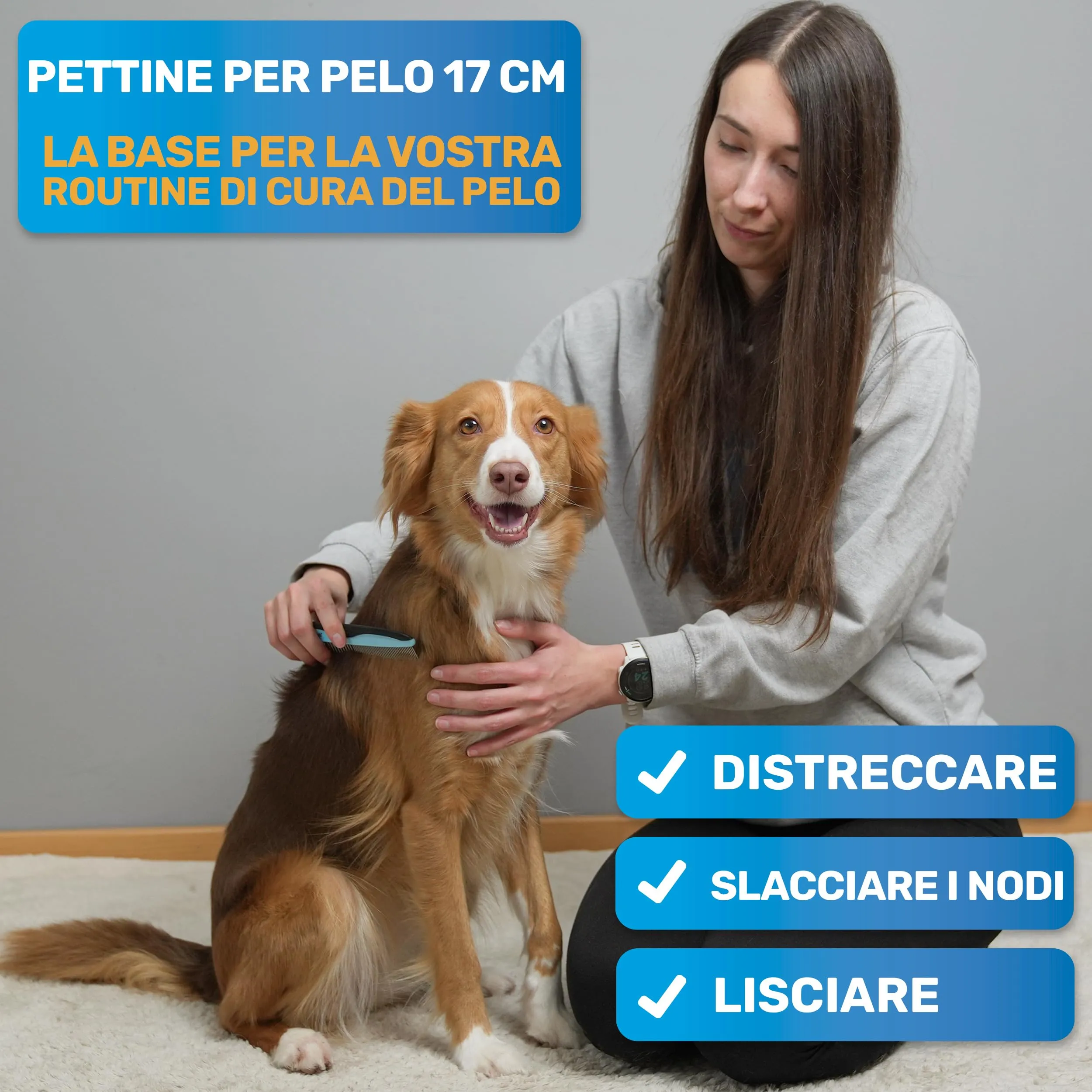 BluePet Pettine in Acciaio Inox per Cani e Gatti a Pelo Lungo, 17 cm - immagine 2