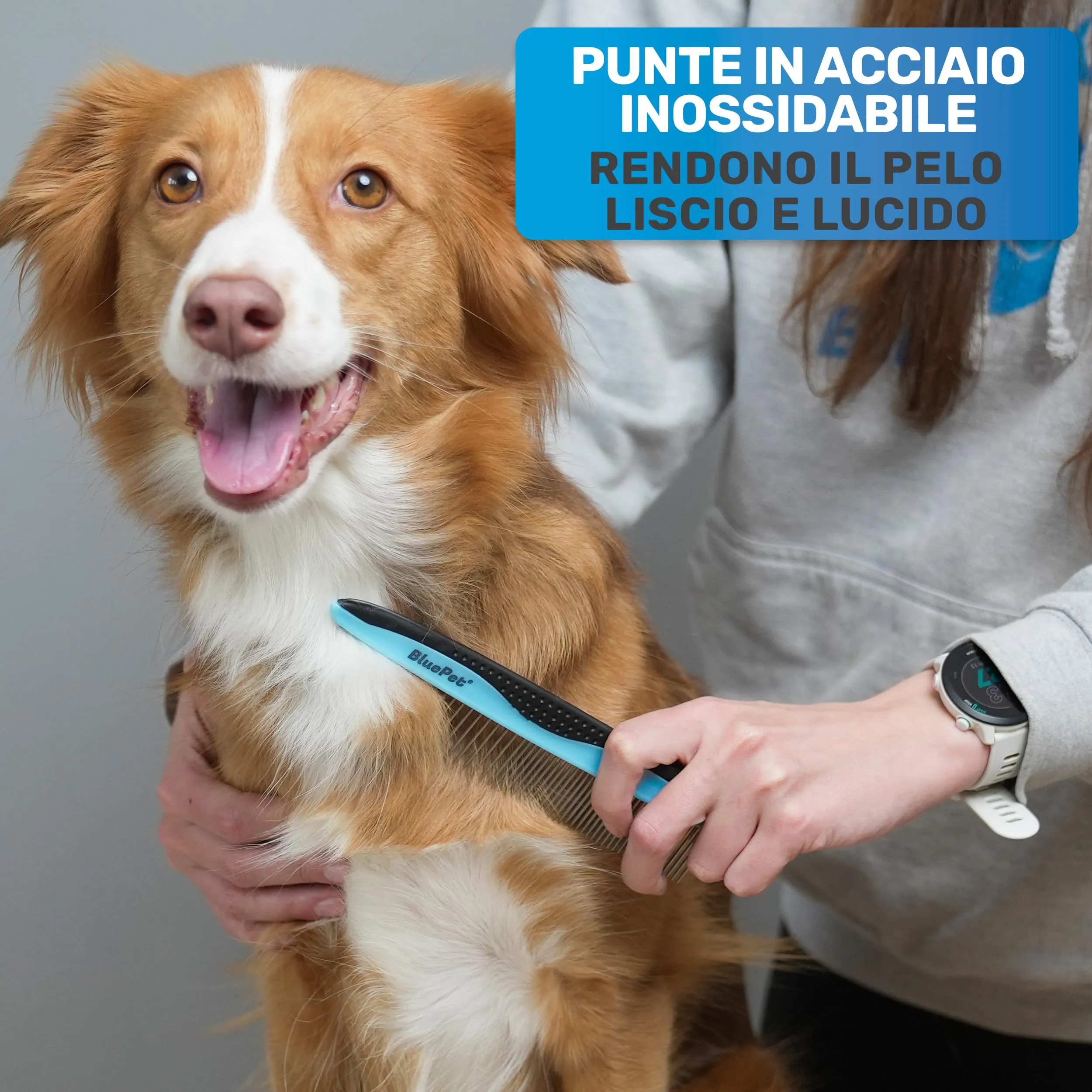 BluePet Pettine per cani e gatti a pelo lungo, 17 cm - immagine 3