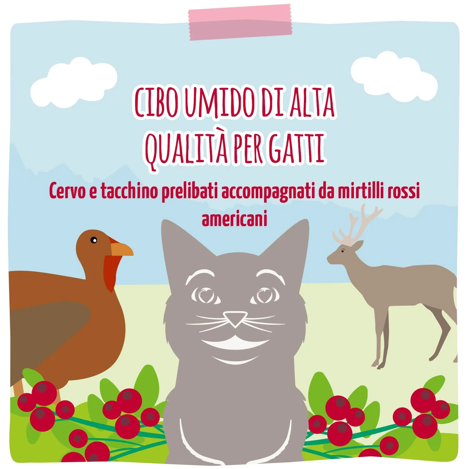 MjAMjAM Cibo Umido per Gatti Cervo e Tacchino con Mirtilli Rossi, Senza Cereali, 6 x 800 g - immagine 5