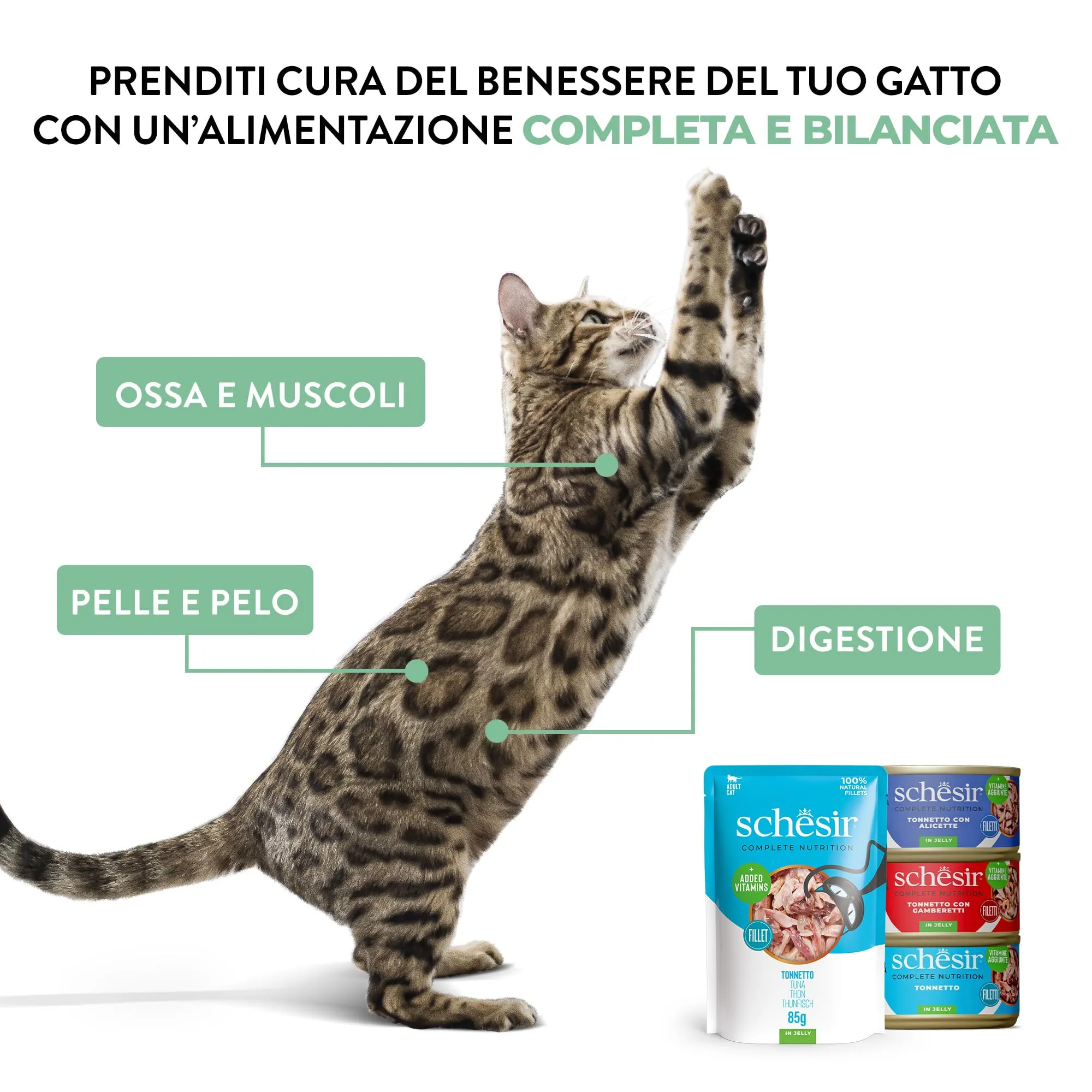 Schesir Tonnetto con Manzo e Riso in Brodo, Alimento Umido Completo per Gatti, 12 x 85g - immagine 8