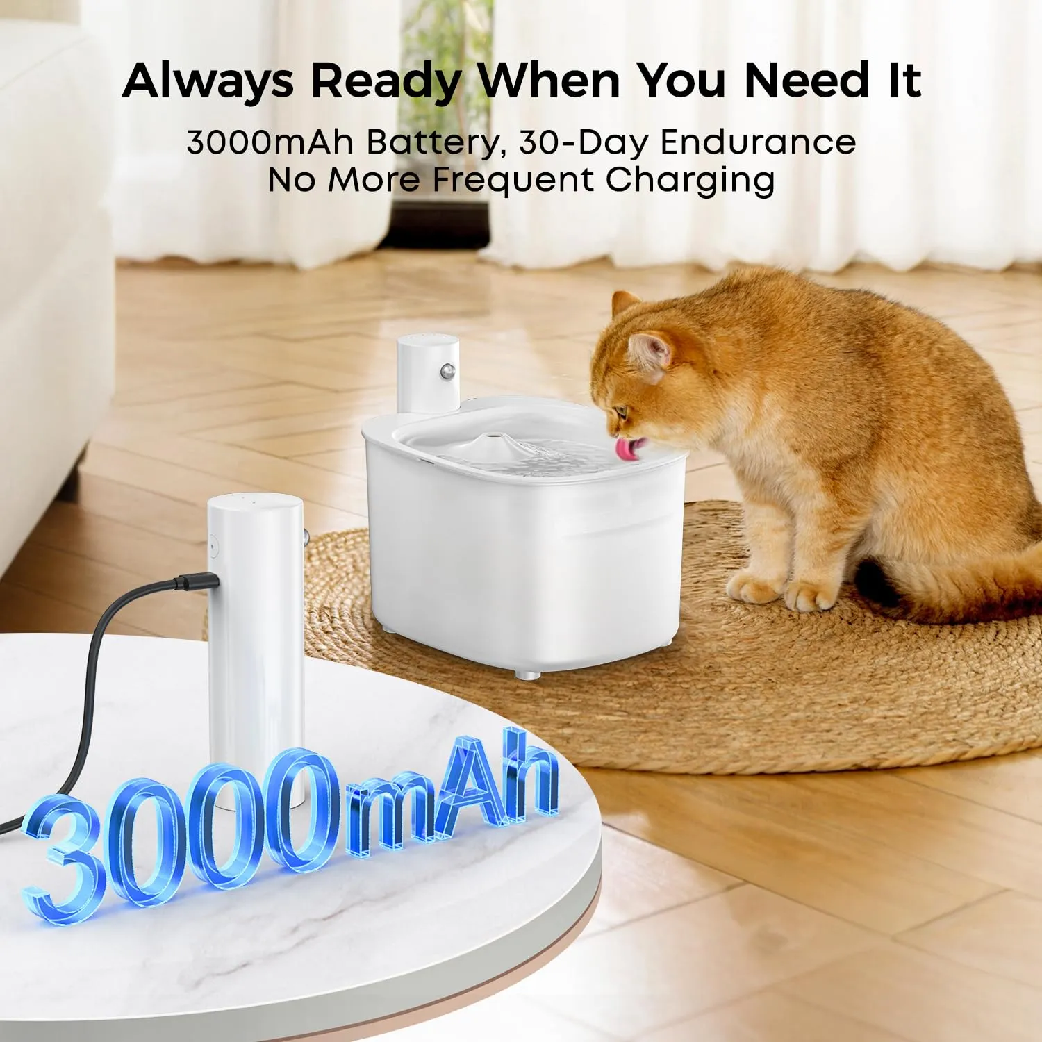 Nenozi Fontanella per Gatti e Cani Senza Fili con Sensore di Movimento, 2.6L, Batteria Ricaricabile 3000mAh, Distributore d'Acqua Silenzioso - immagine 6