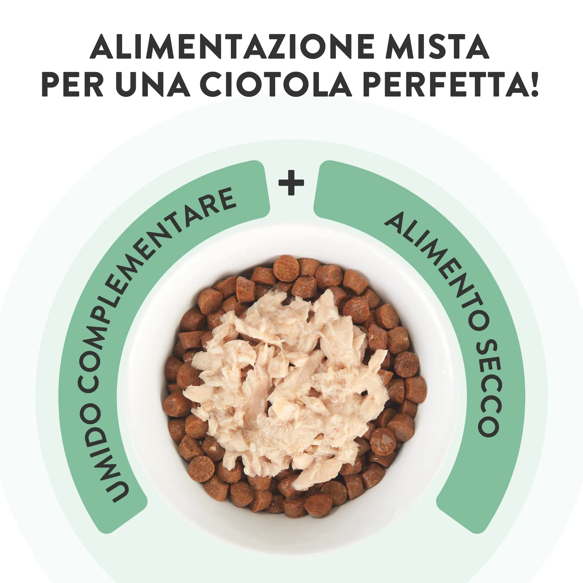 Schesir Pollo con Spigola in Gelatina, 12x70g - immagine 6