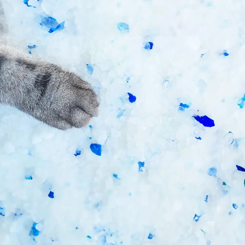 Cat&Rina Lettiera Gatti ai Cristalli di Silicio, 5,5 L - immagine 3