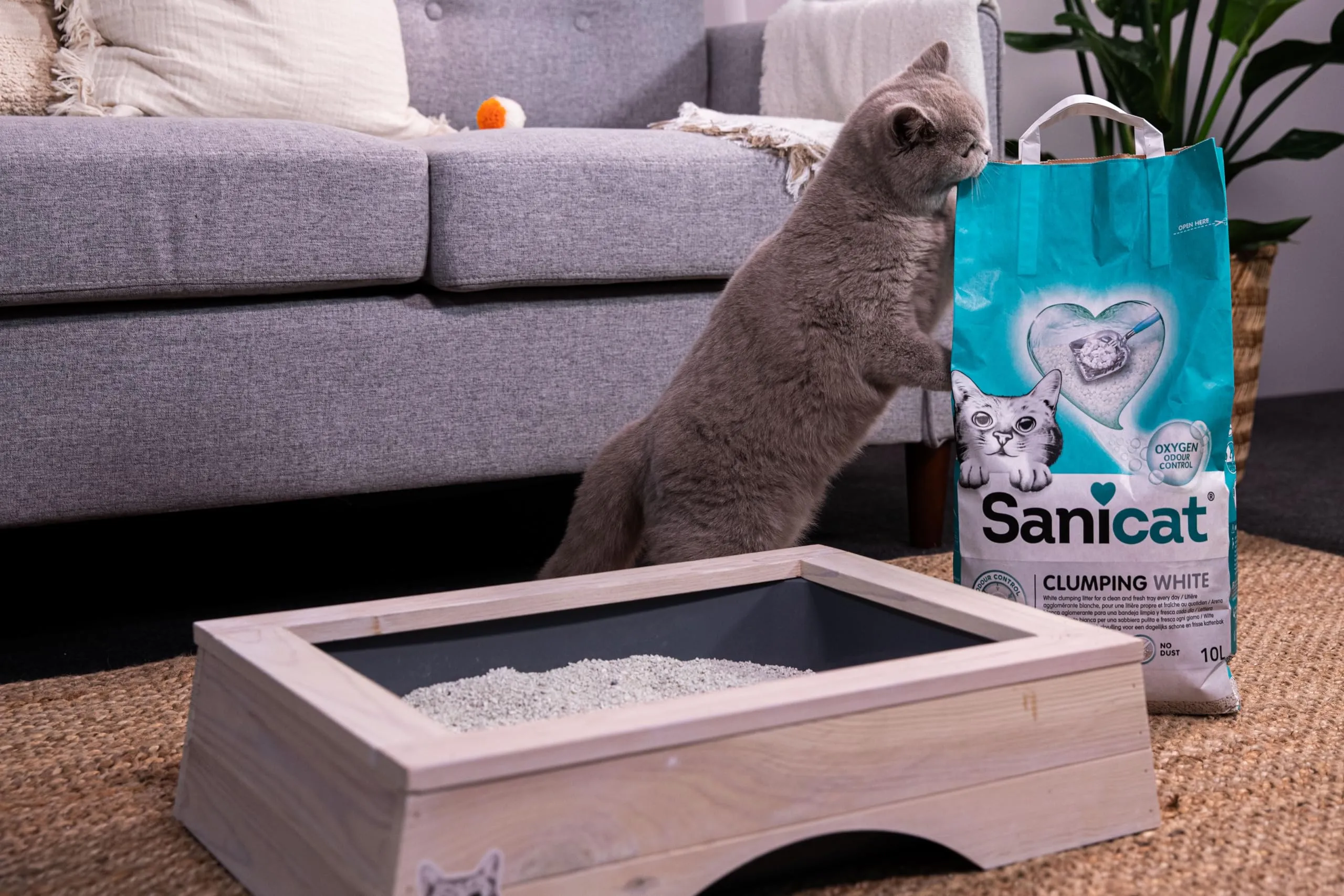 Sanicat Clumping White Unscented Cat Litter - 10 L - immagine 5